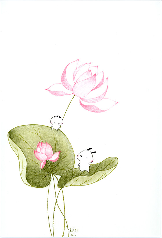 Sur une feuille de nénuphar