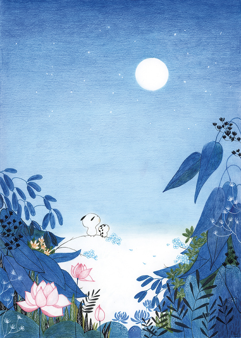 Nocturne