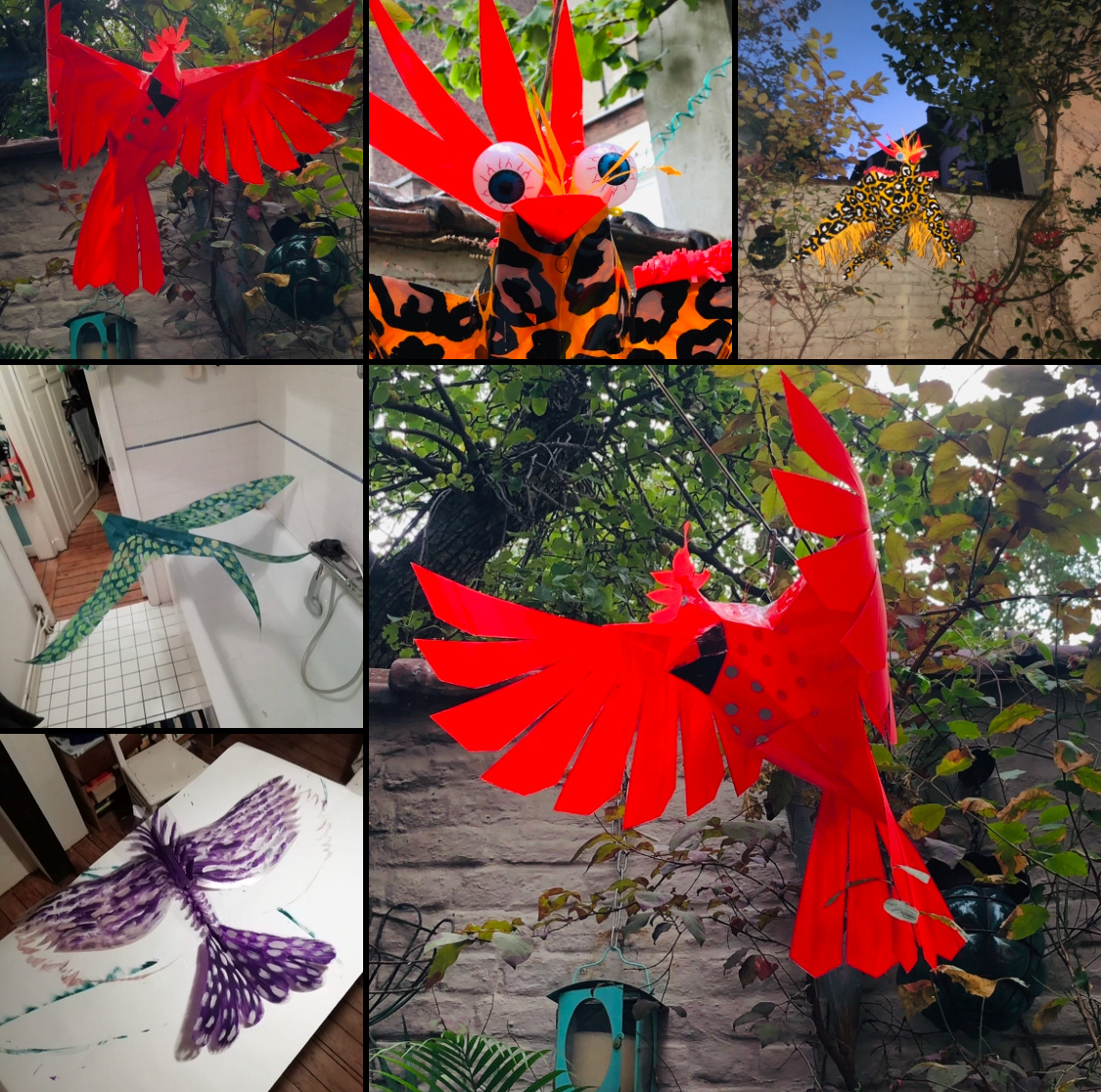 La nuit au Wolvendael  Uccle aout 2022