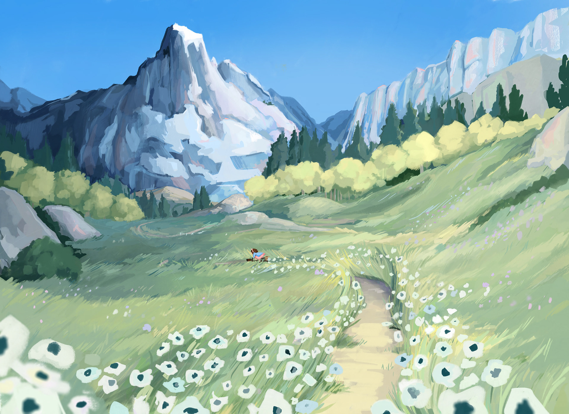 The Meadow