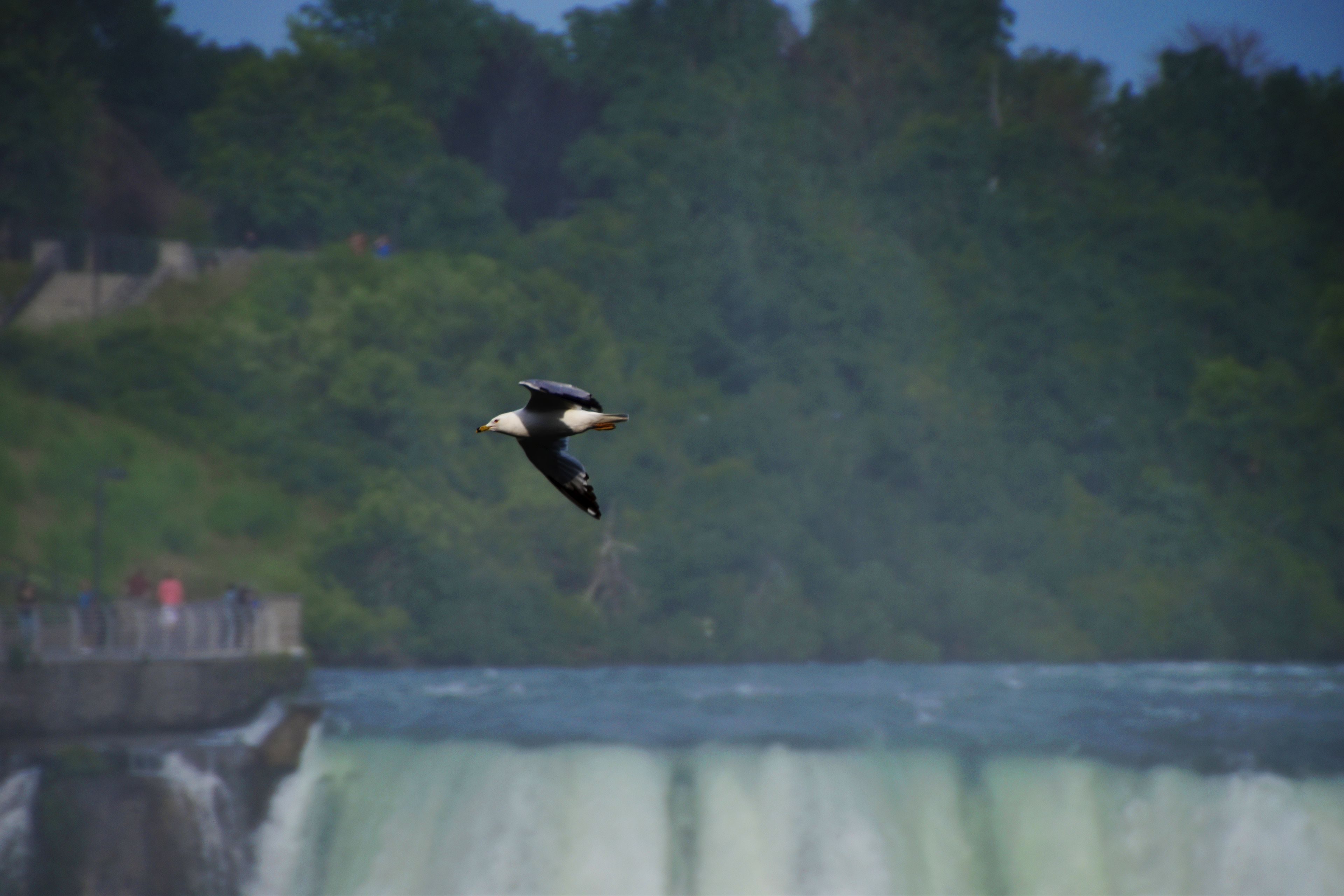 Niagara Falls, Ontario