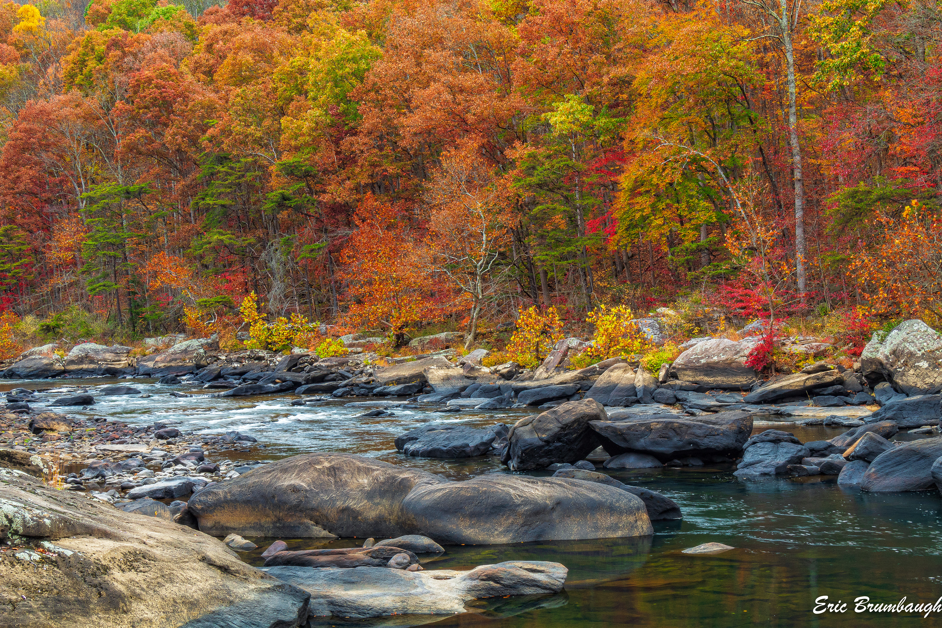 Tygart River Near Arden, WV 10/25/2024