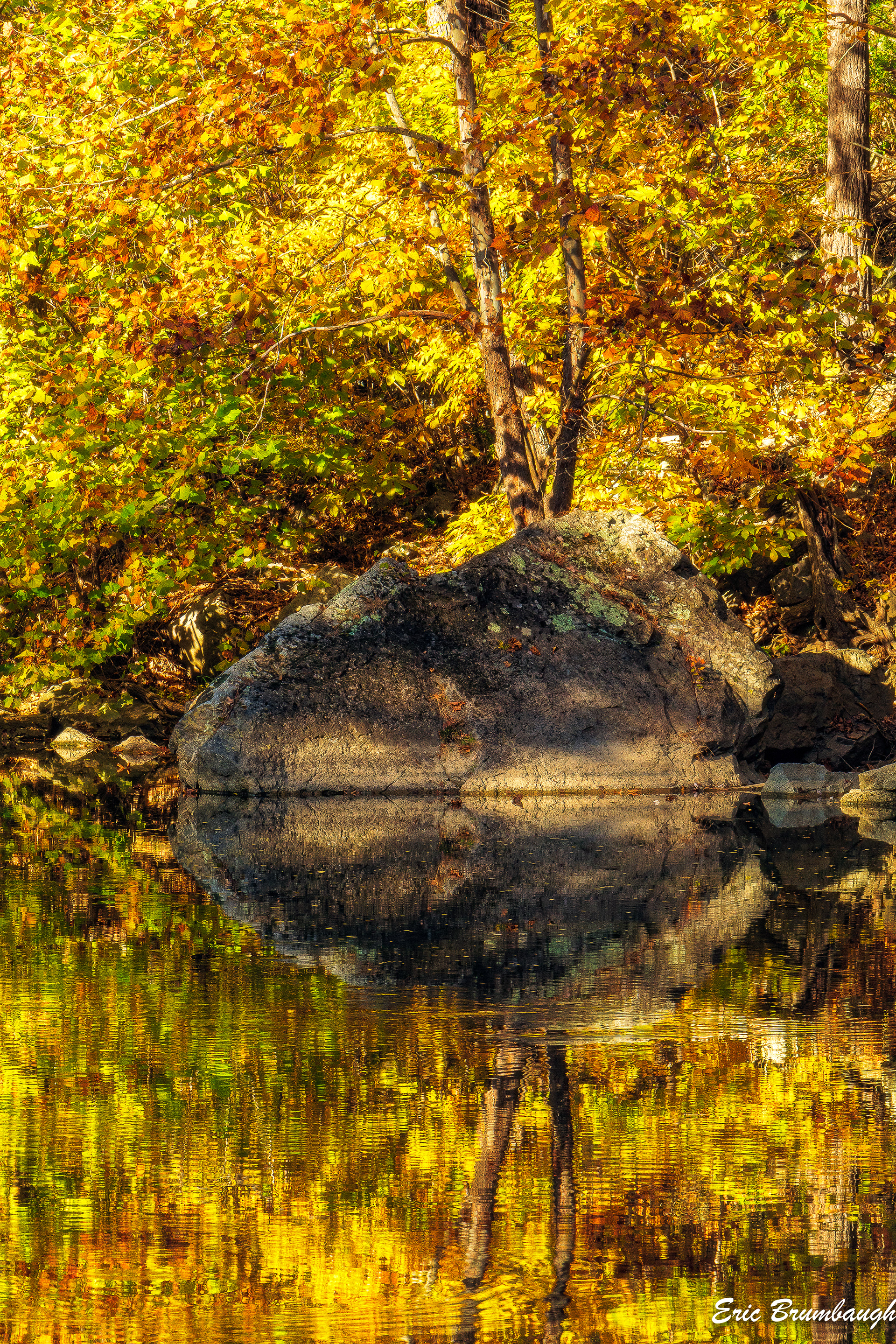 South Branch of the Potomac River 10/21/2024
