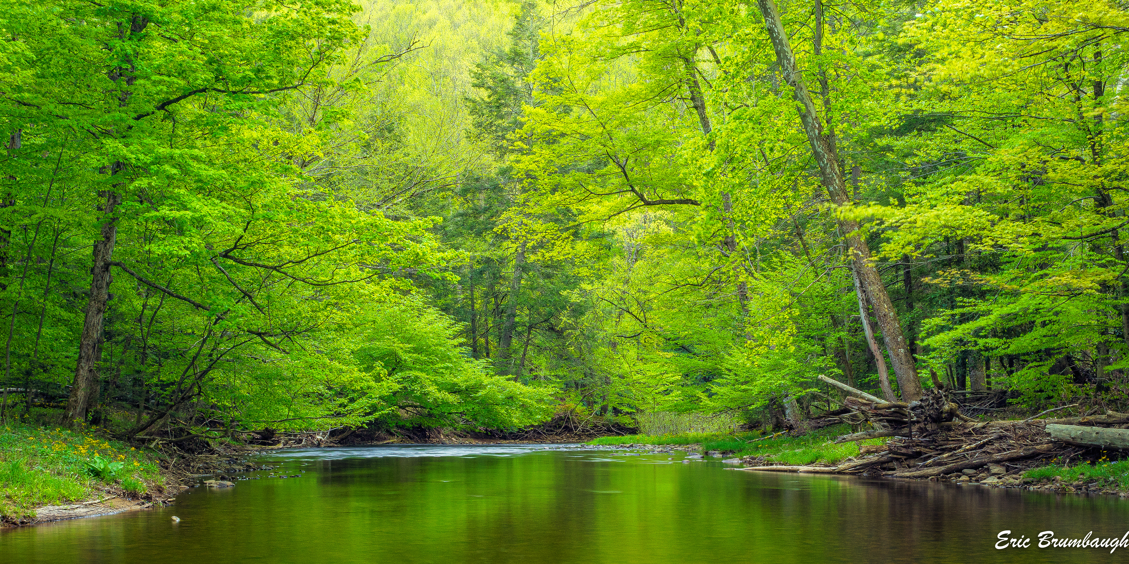Spring on the Shavers in Stuart Recreation Area 05/22/2020