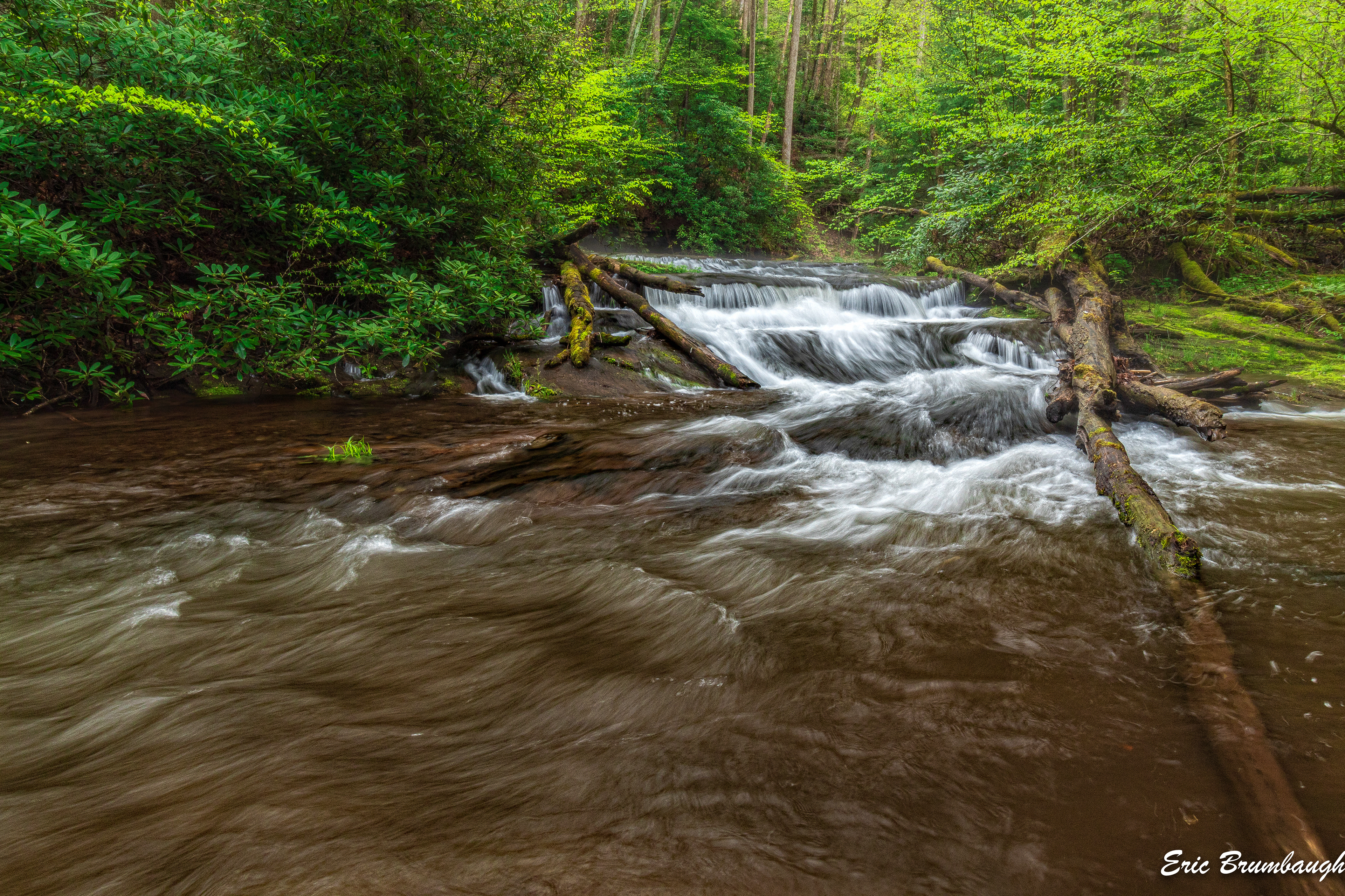 Elklick Run in Fernow Experimental Forest 05/04/2021