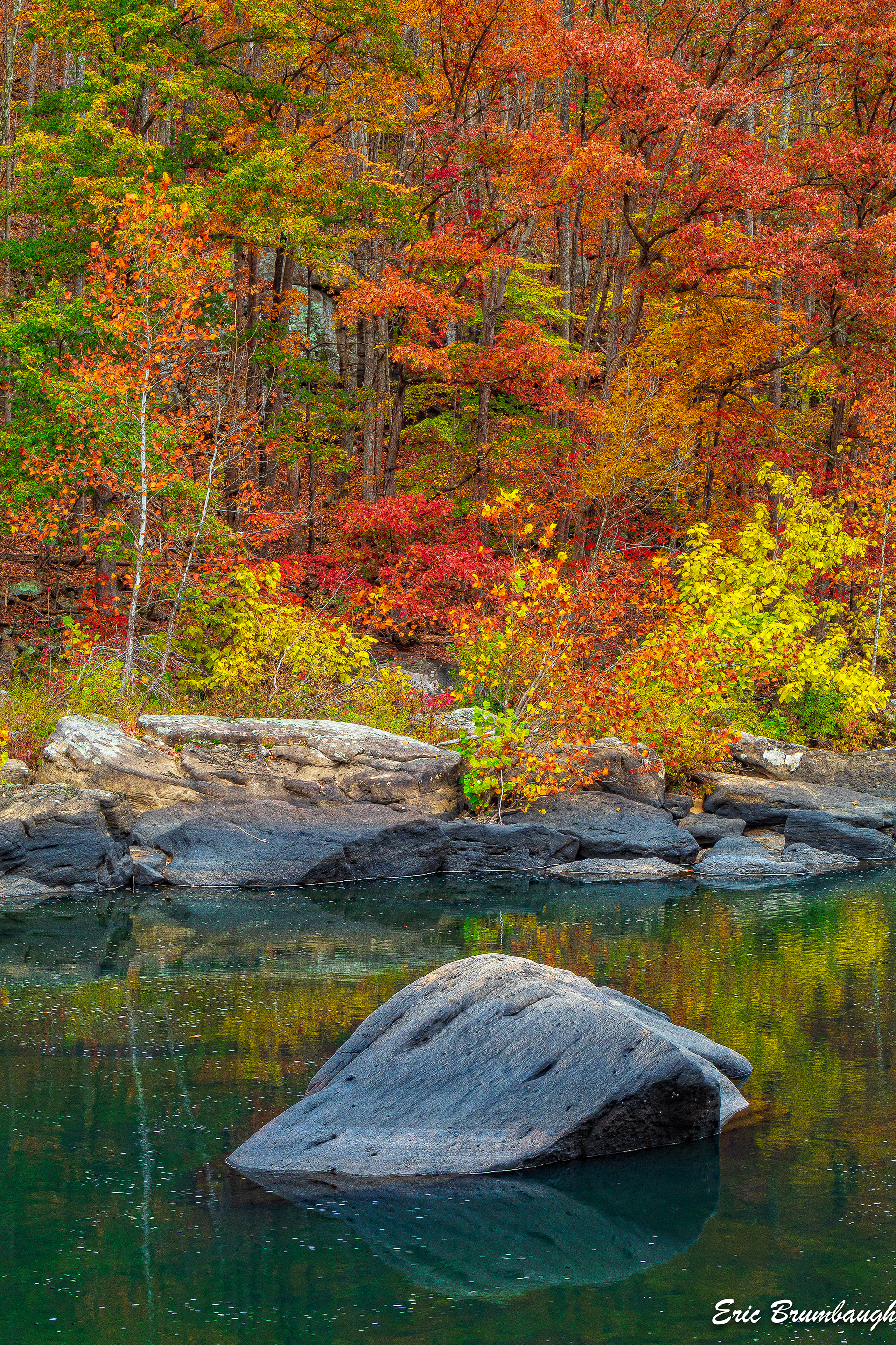 Tygart River Near Arden, WV 10/25/2024