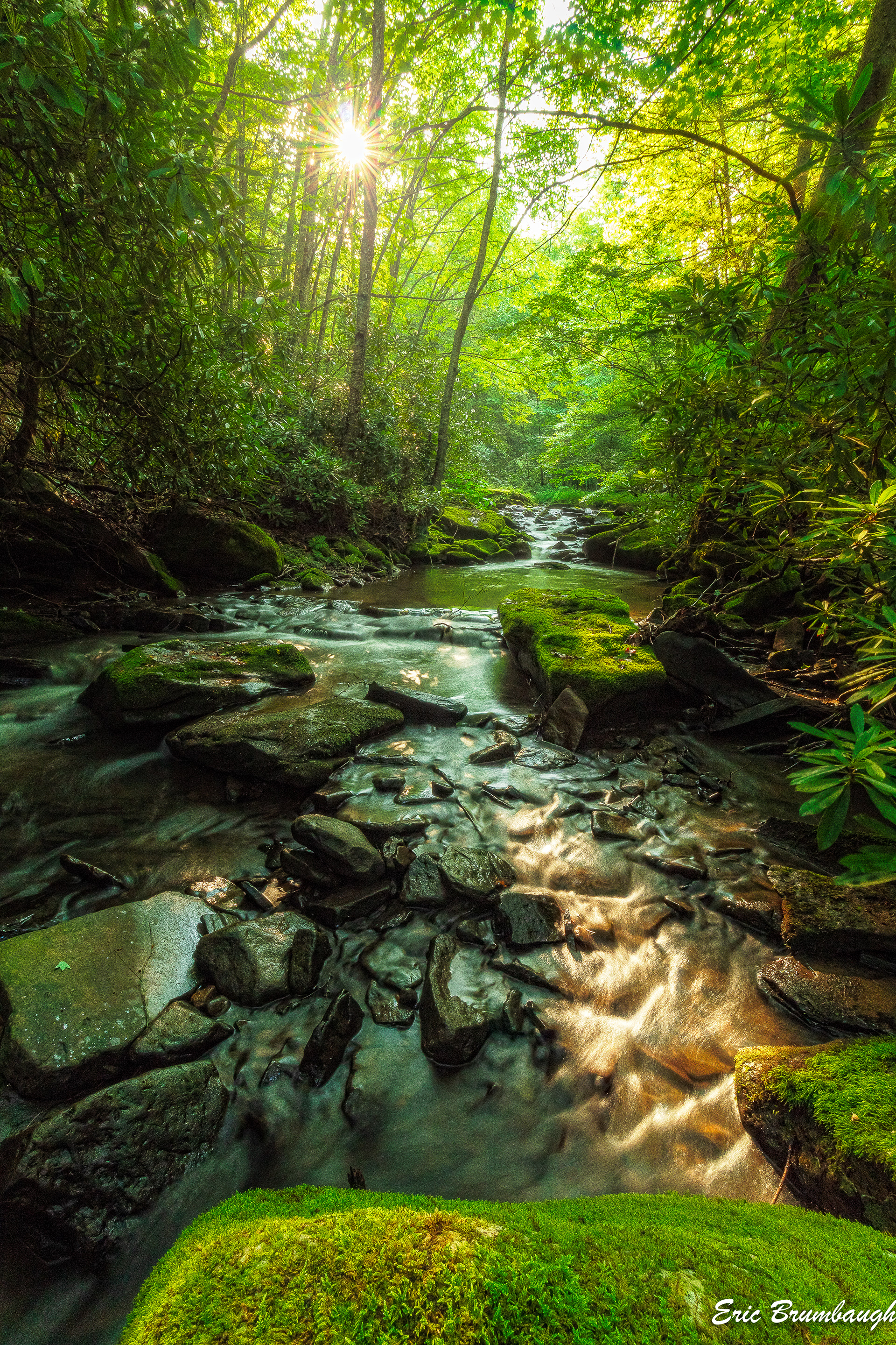 Secret Stream in Pocahontas County 07/16/2023