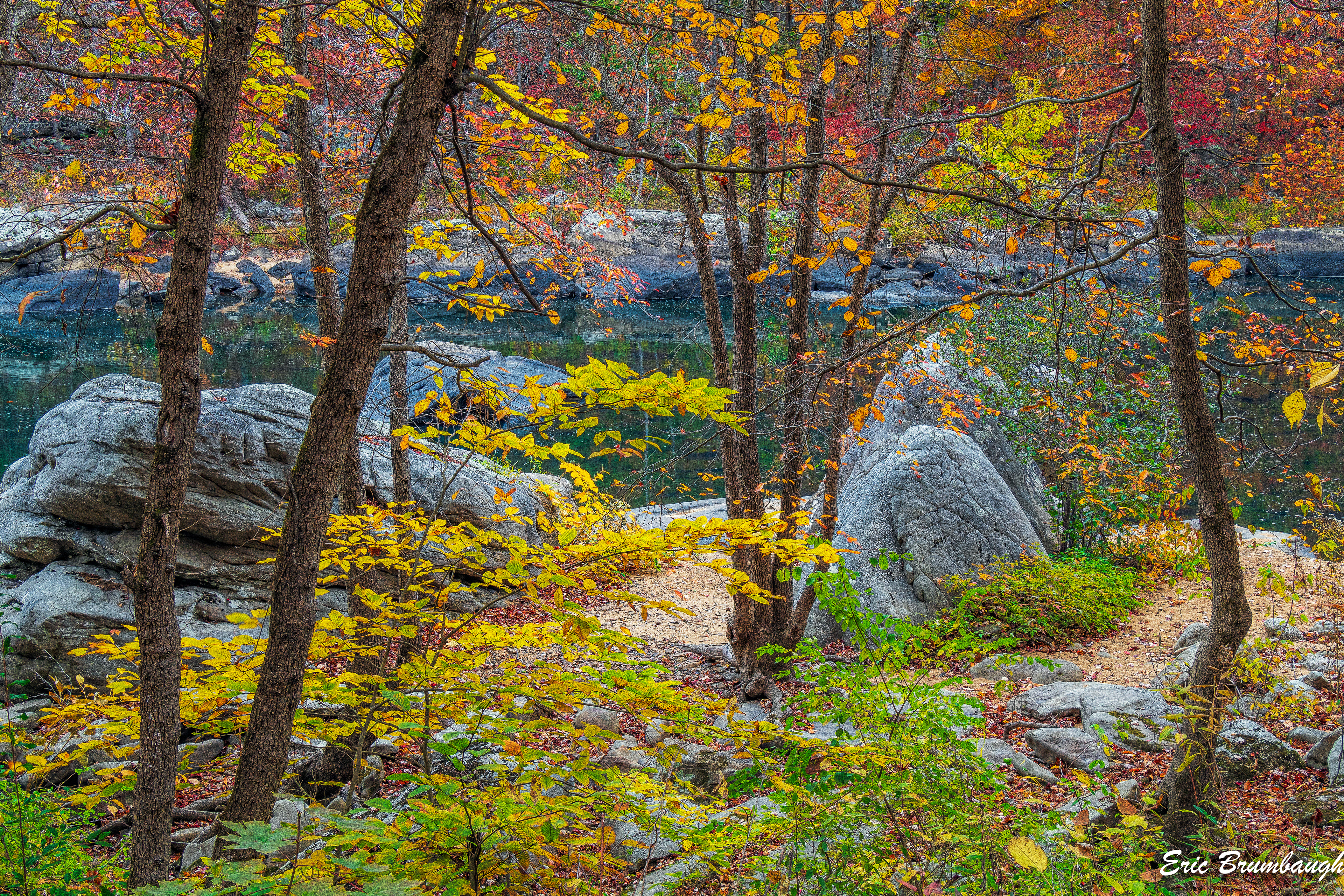 Tygart River Near Arden, WV 10/25/2024