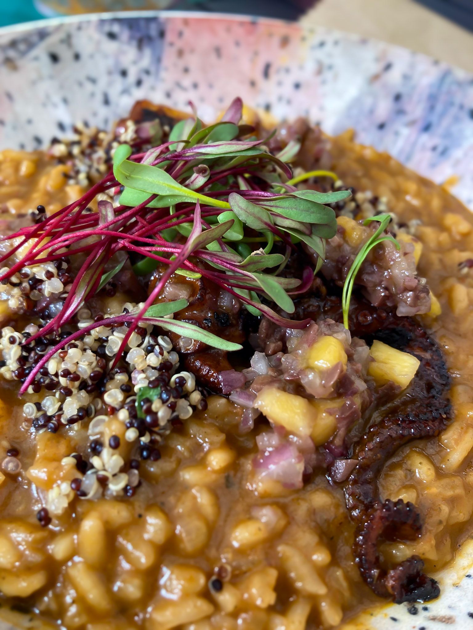 Balneário Camboriú, SC