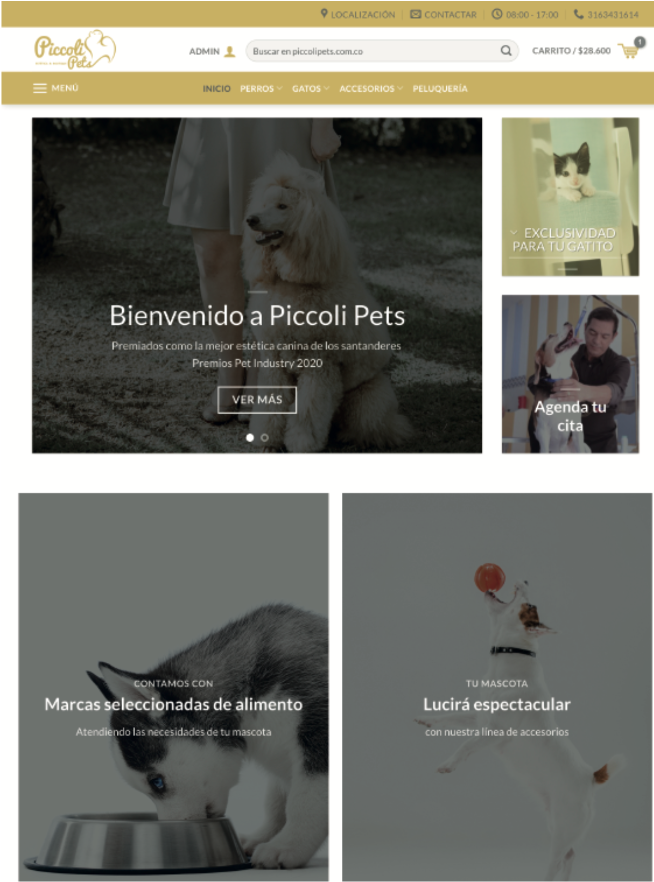 Página web Wordpress