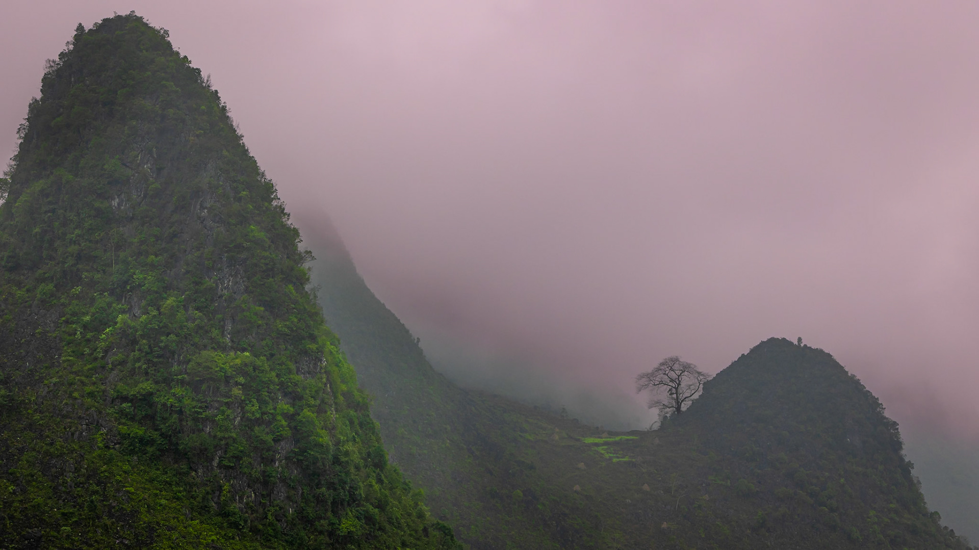 Hà Giang