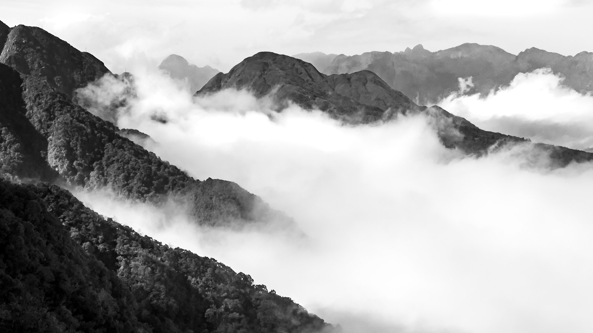 Sapa