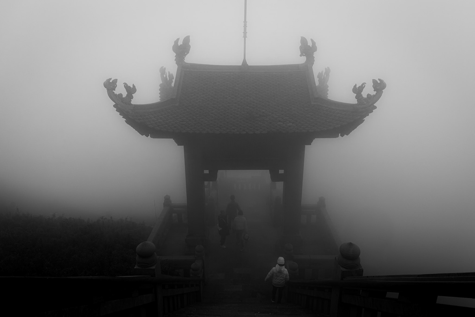 Sapa