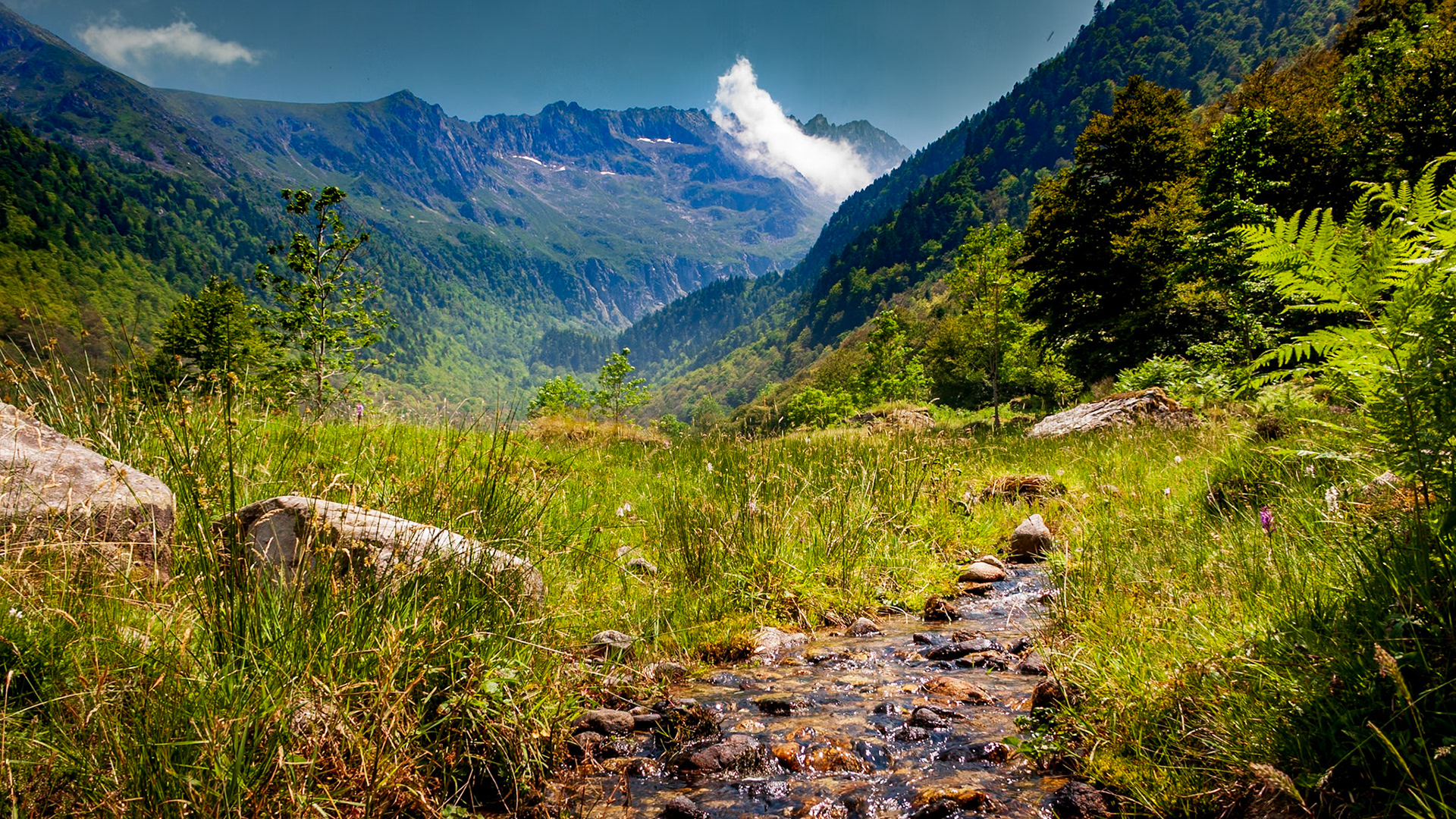 Ariège
