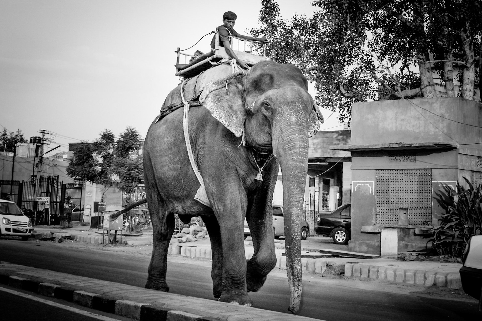 Jaipur - India