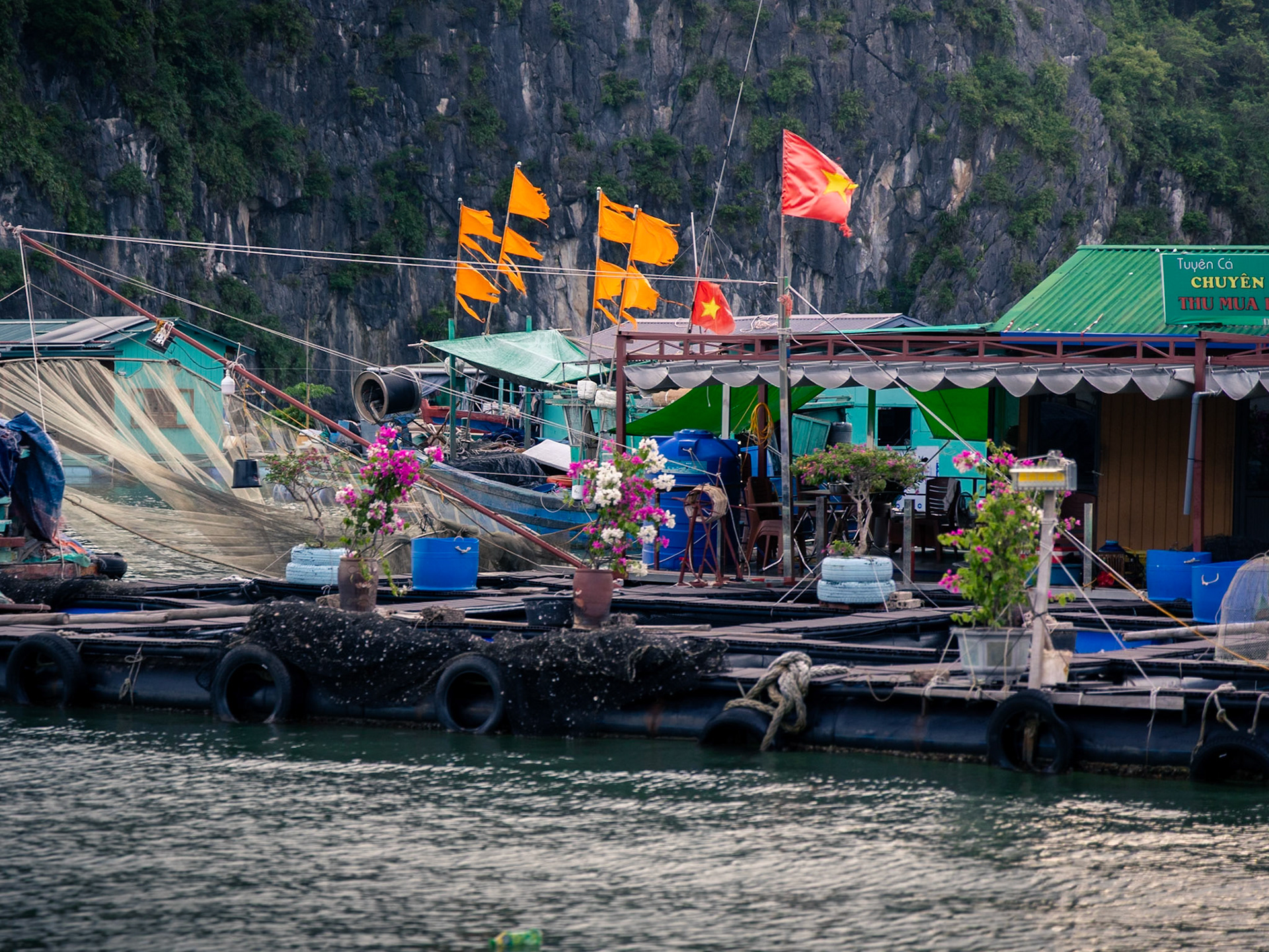 Cát Bà Island