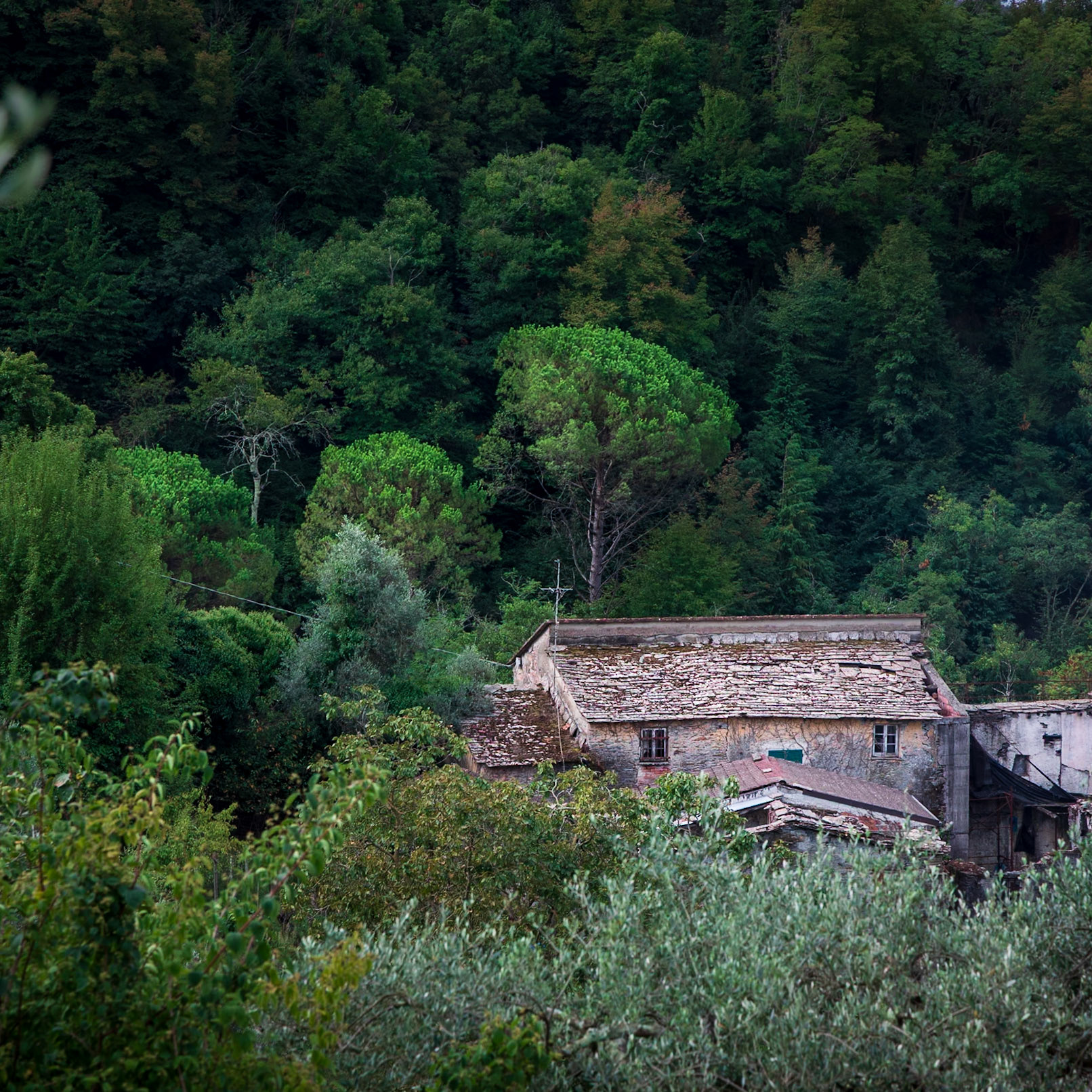Liguria