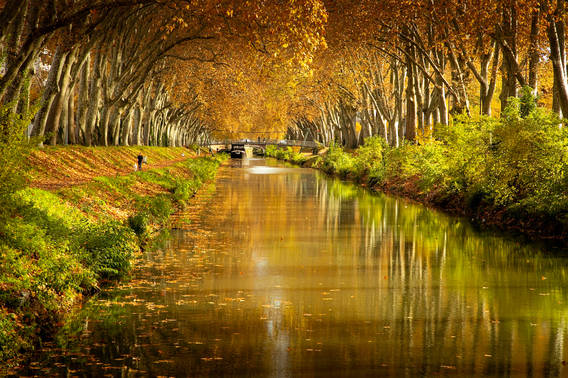Toulouse - France