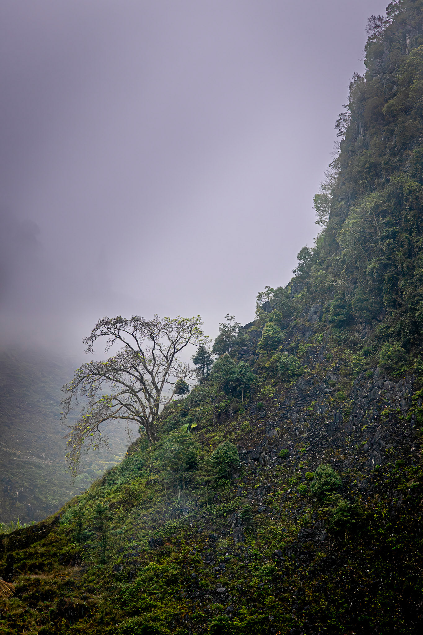 Hà Giang
