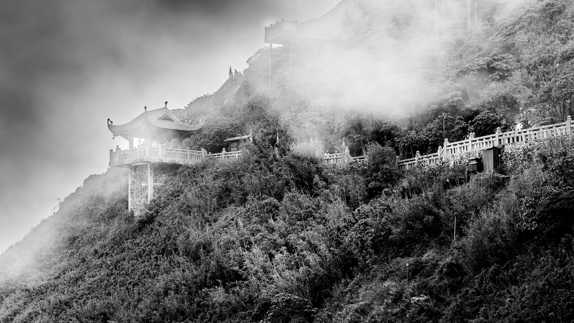 Sapa