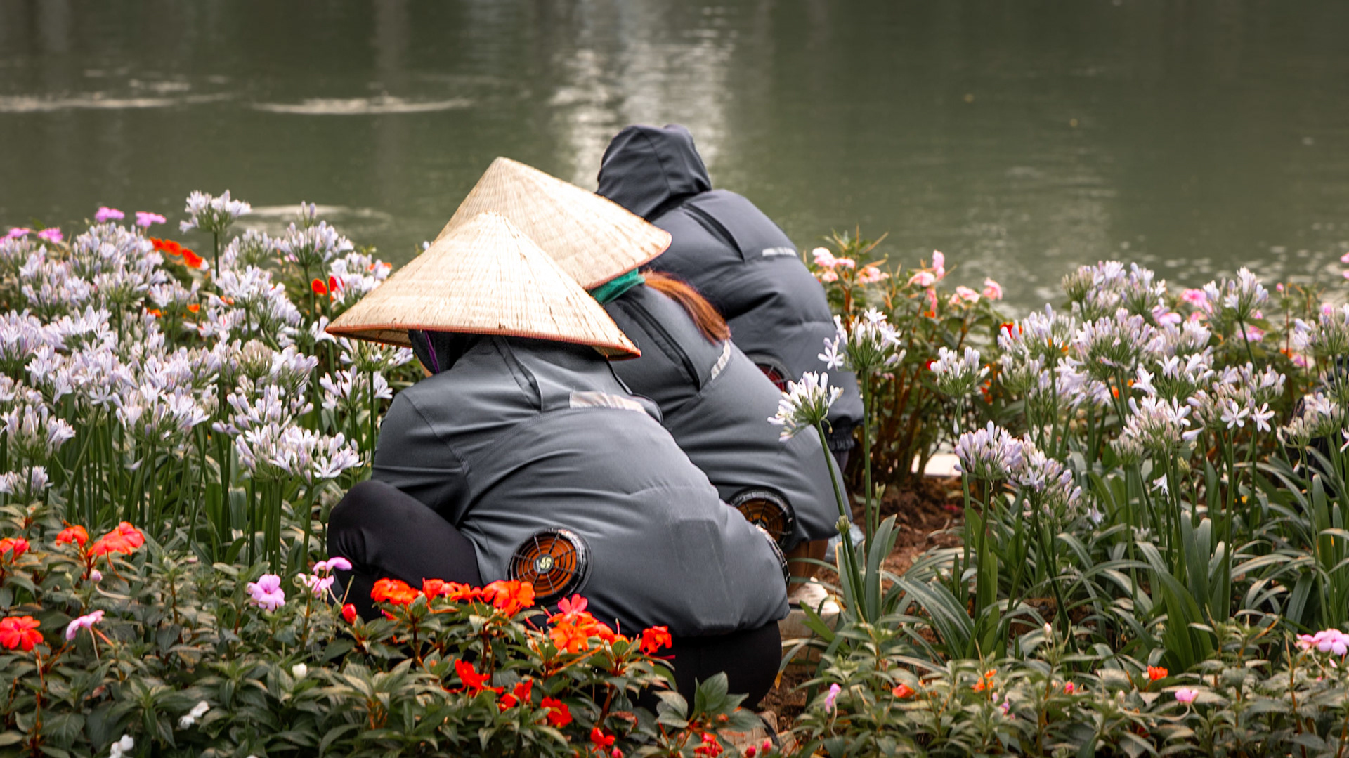 Hanoi