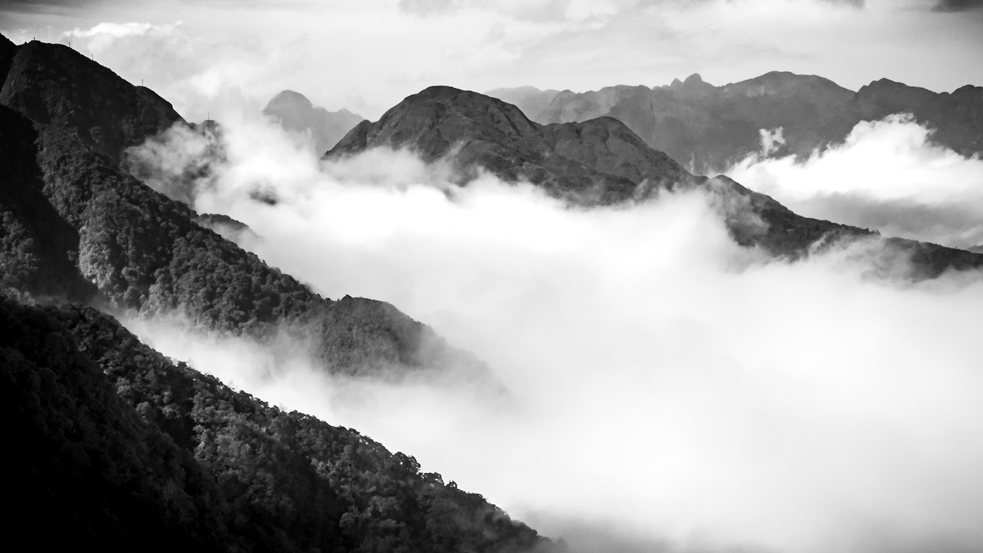 Sapa