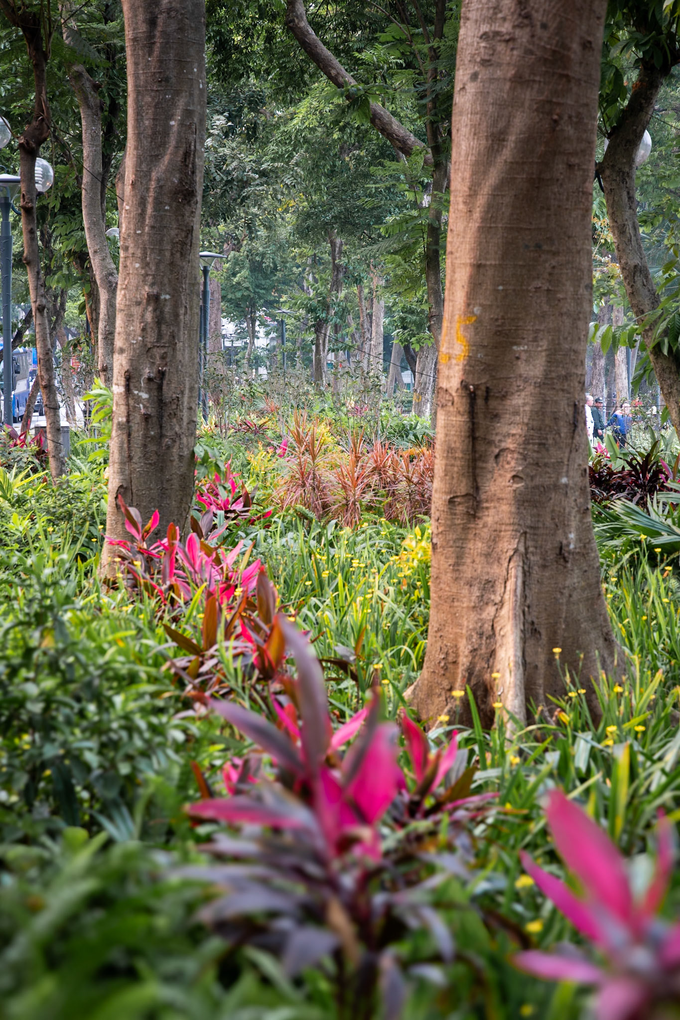 Hanoi