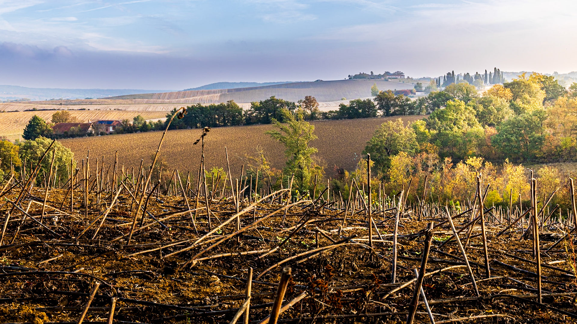 Haute Garonne