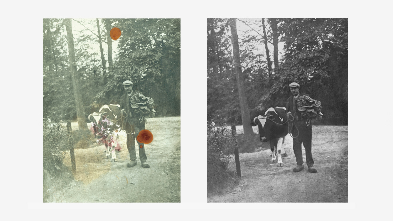 old damaged photo restoration & colorization