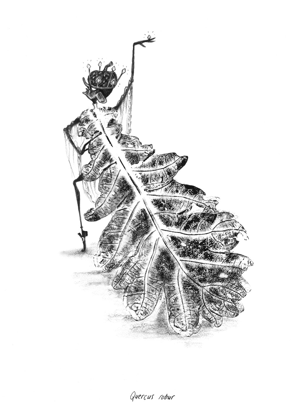 Quercus robur is also known as "The Royal Oak".