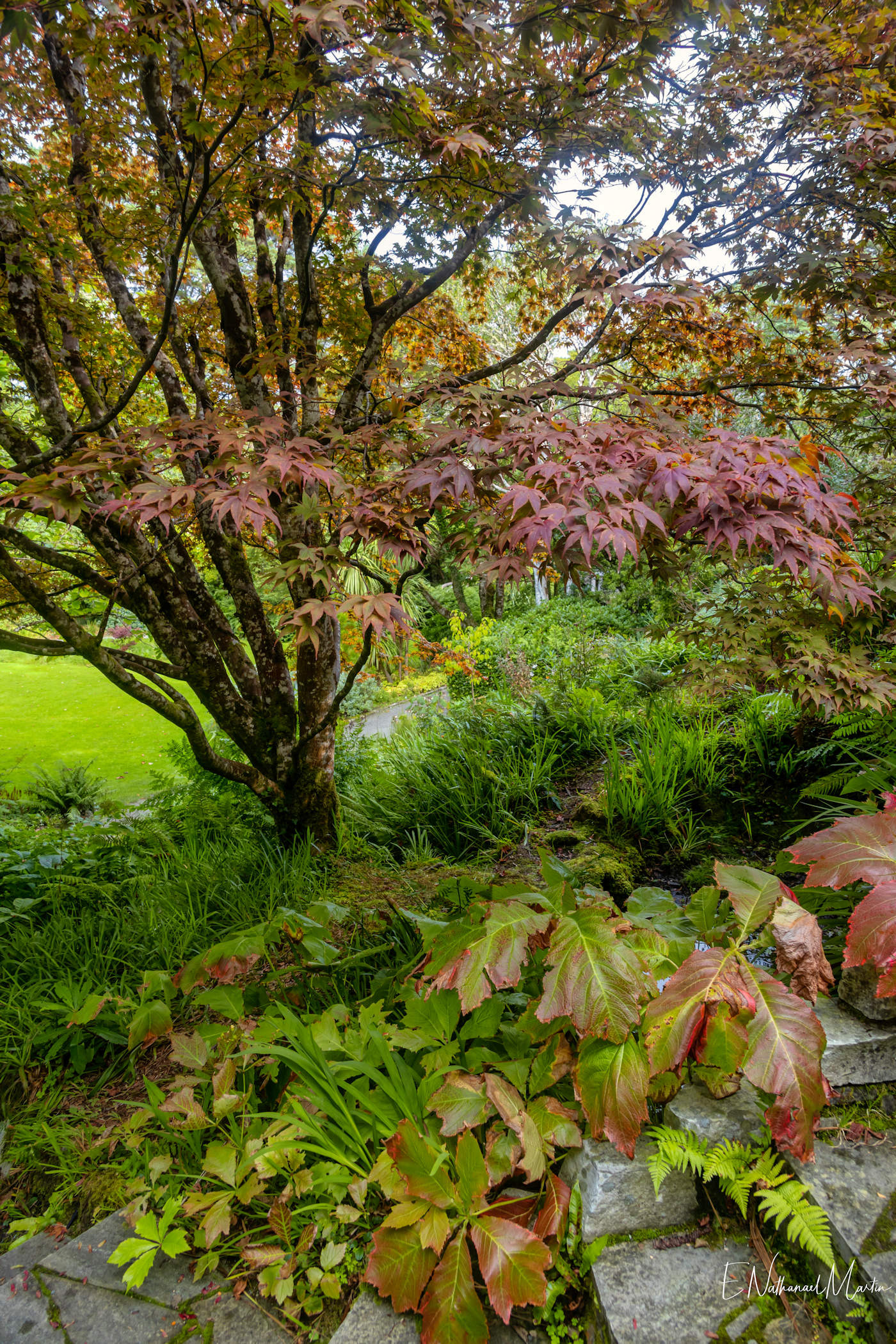 Glenveagh National Park