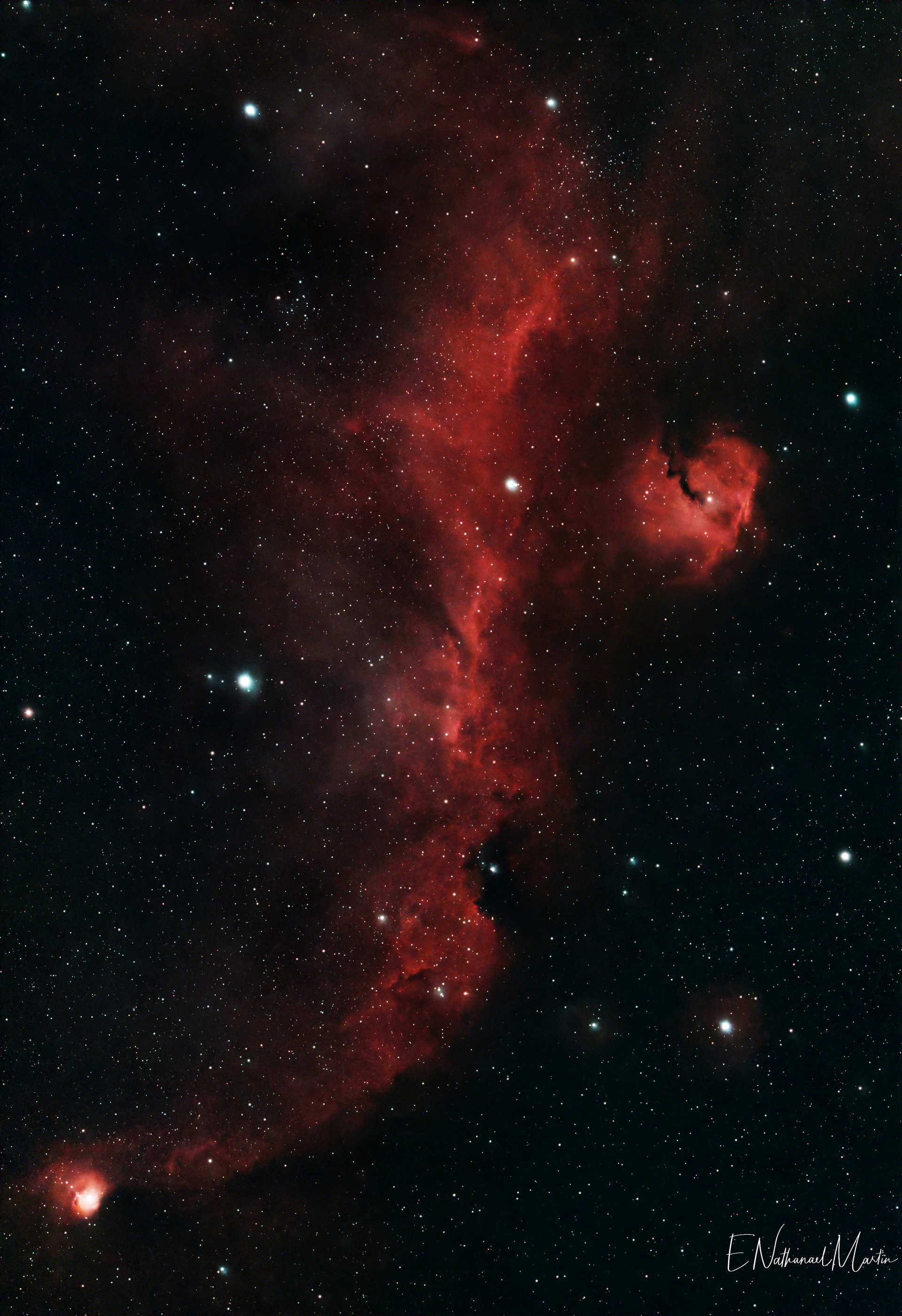 IC 2177 Seagull Nebula