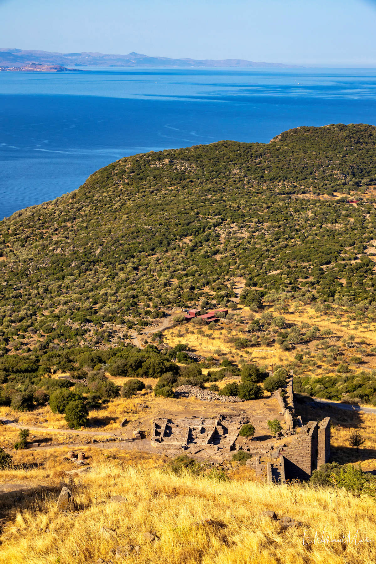 Assos