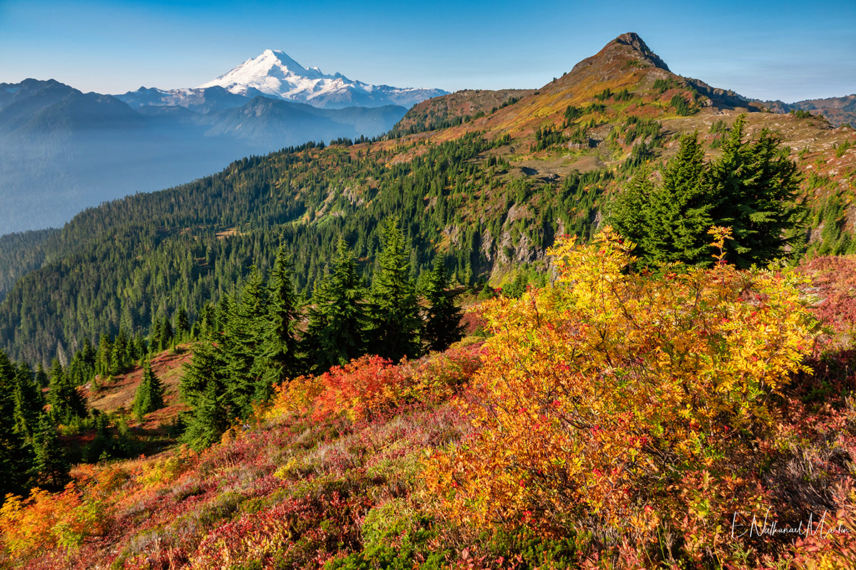 Nature by Nat Photography - North Cascades Fall Color