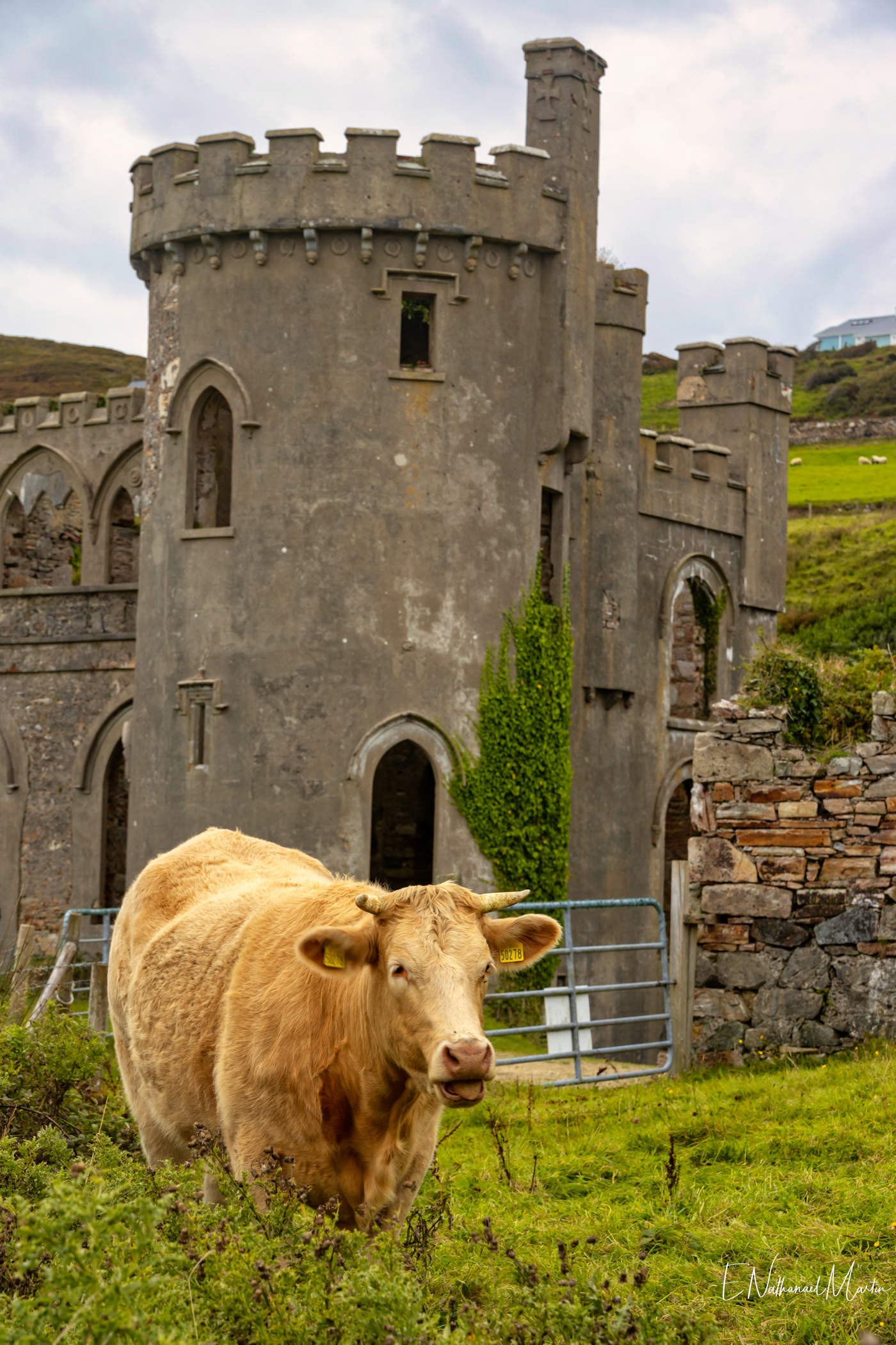Clifden Castle