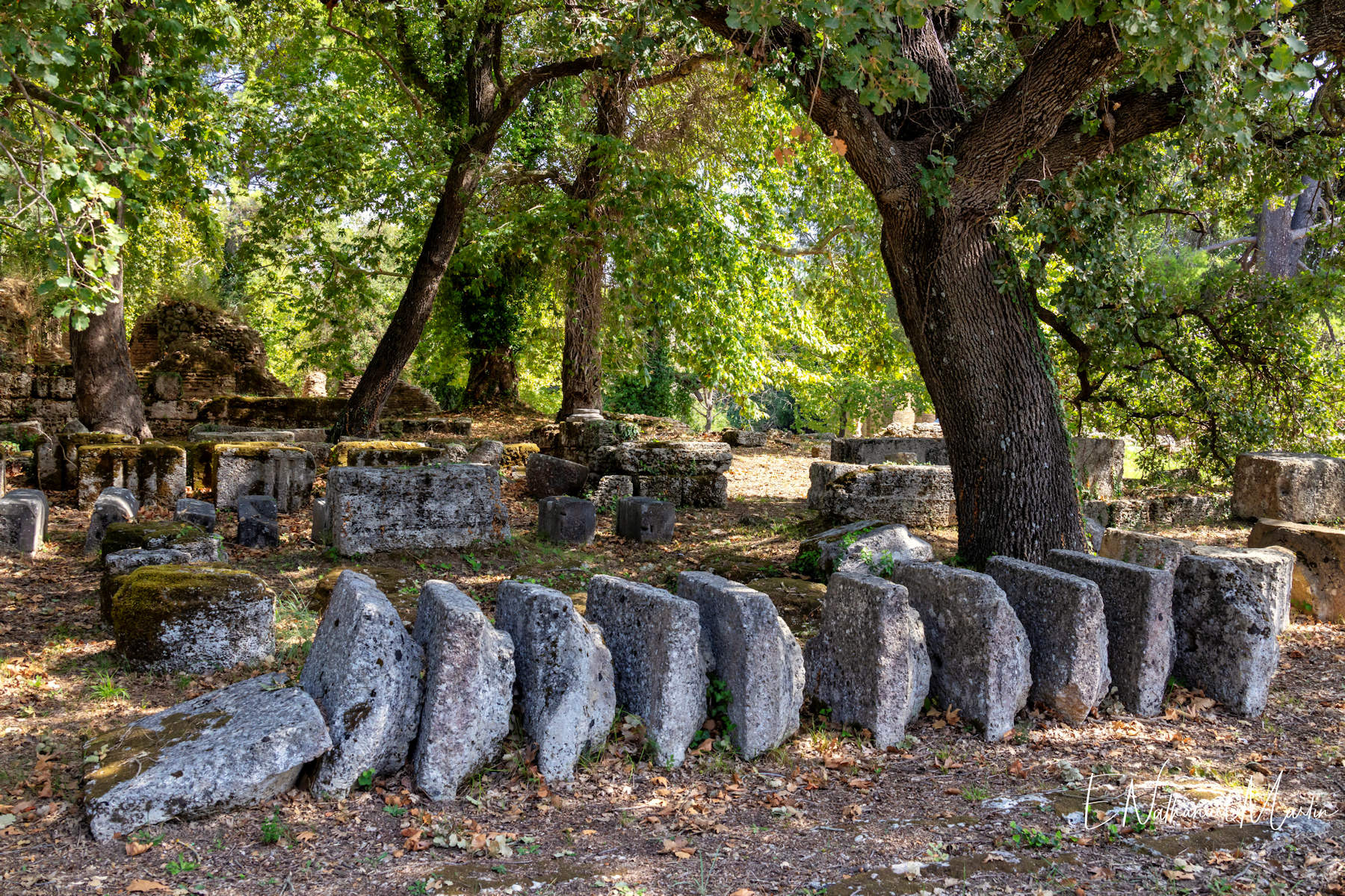 Ancient Olympia