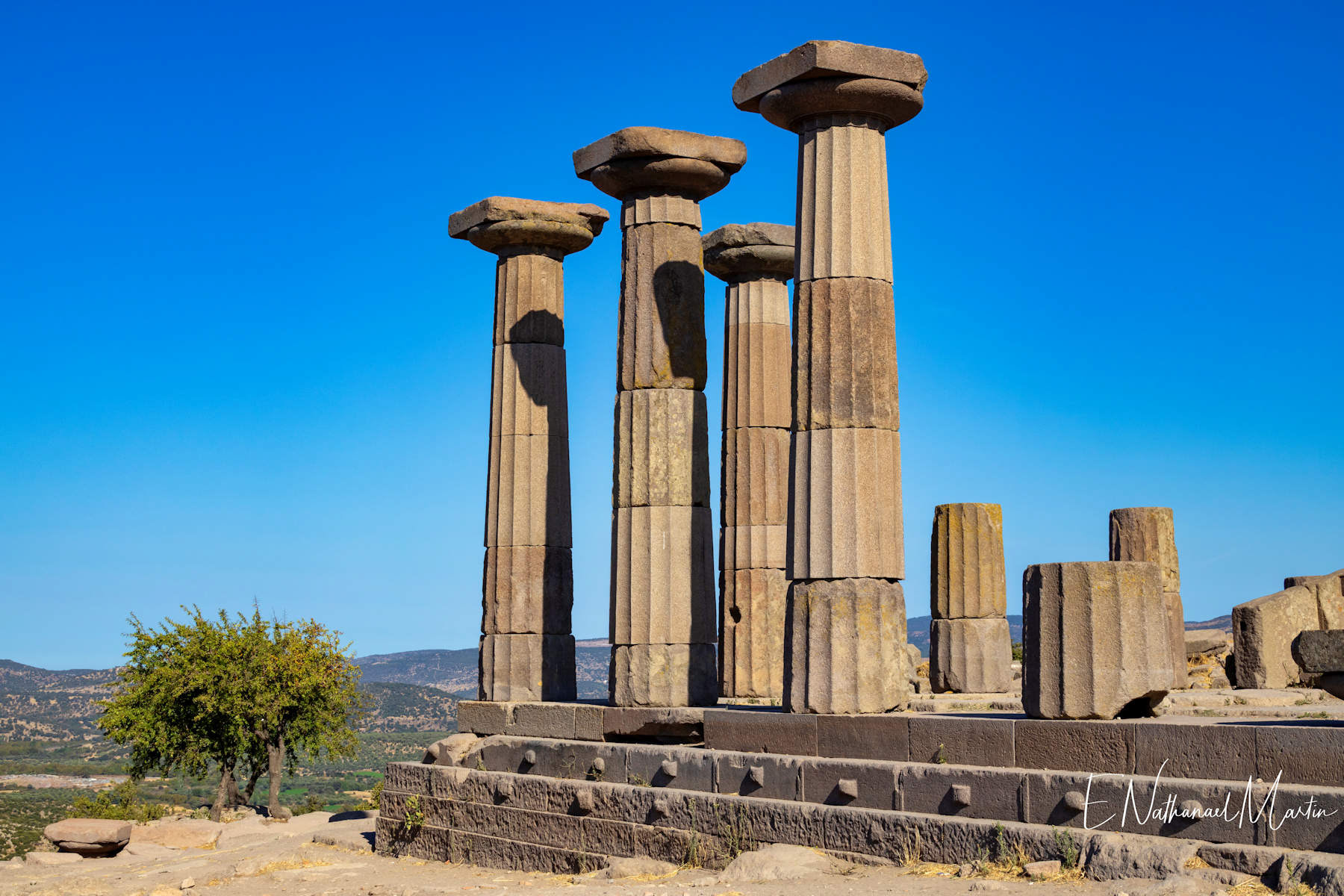 Assos