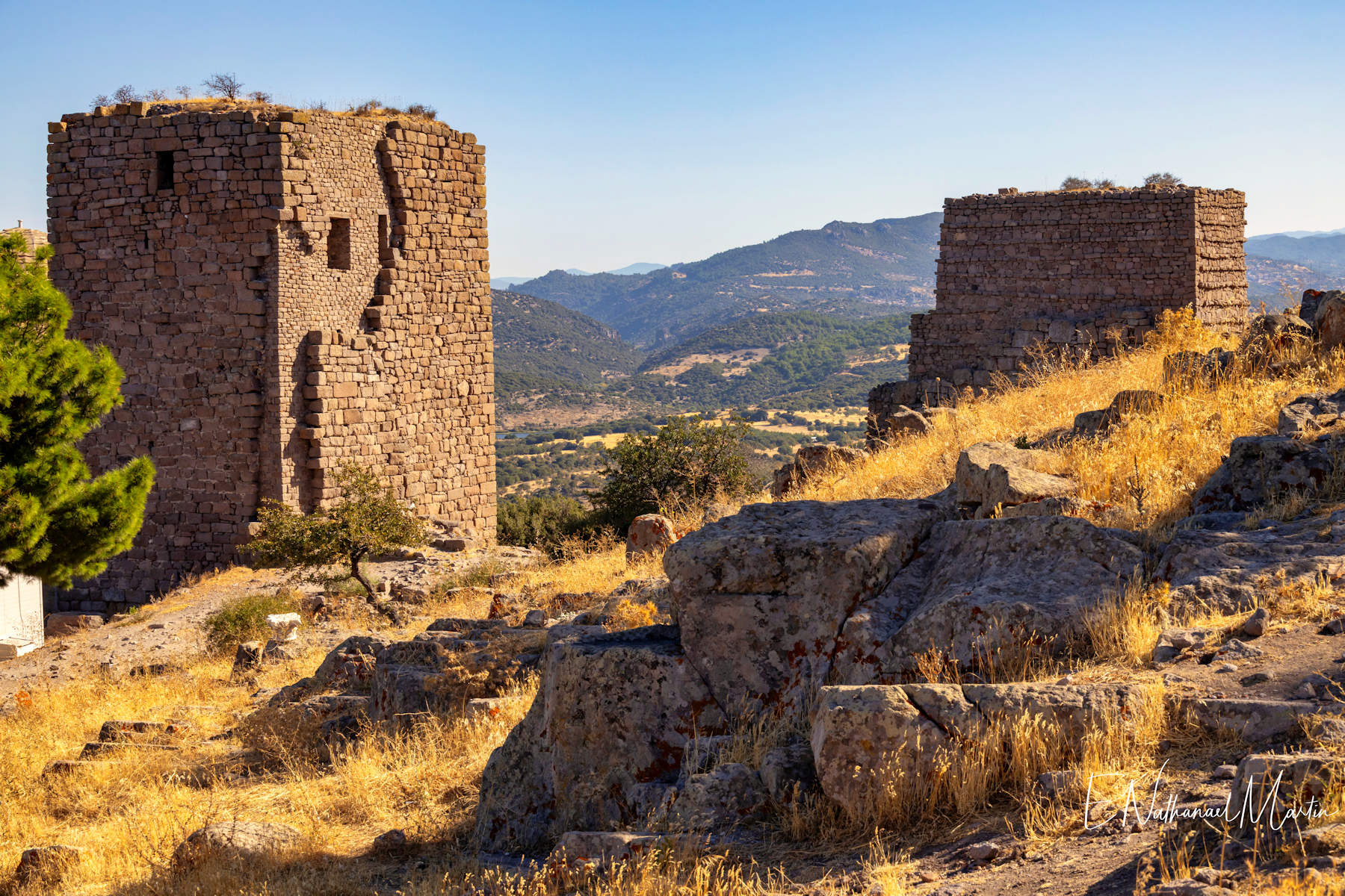 Assos