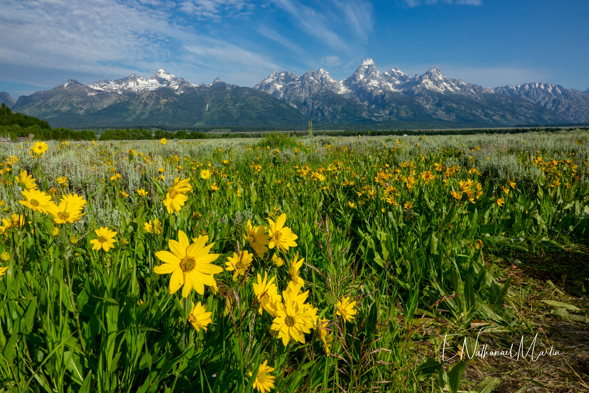 Nature by Nat Photography - Grand Teton National Park