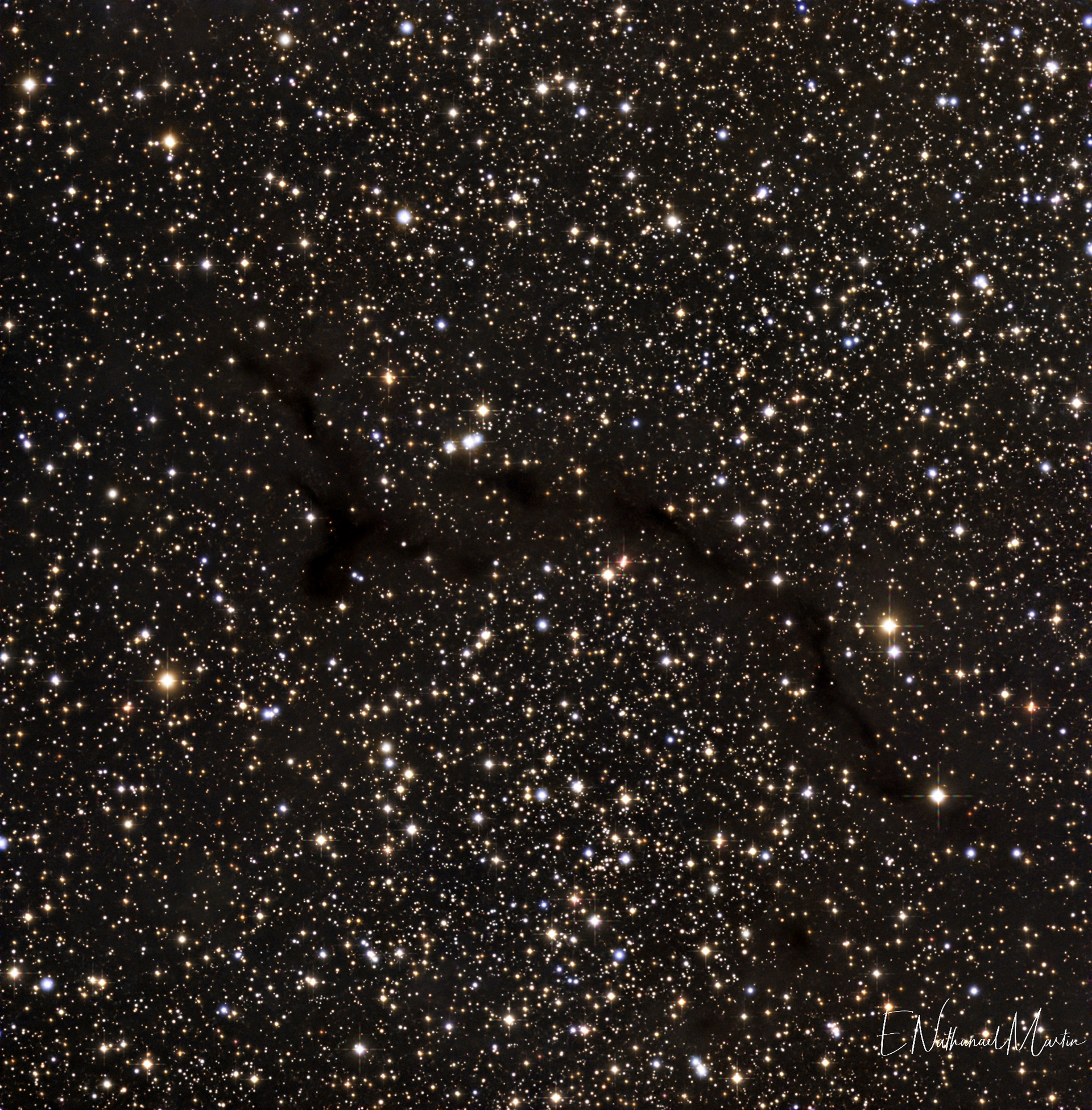 Barnard 150 Seahorse Nebula
