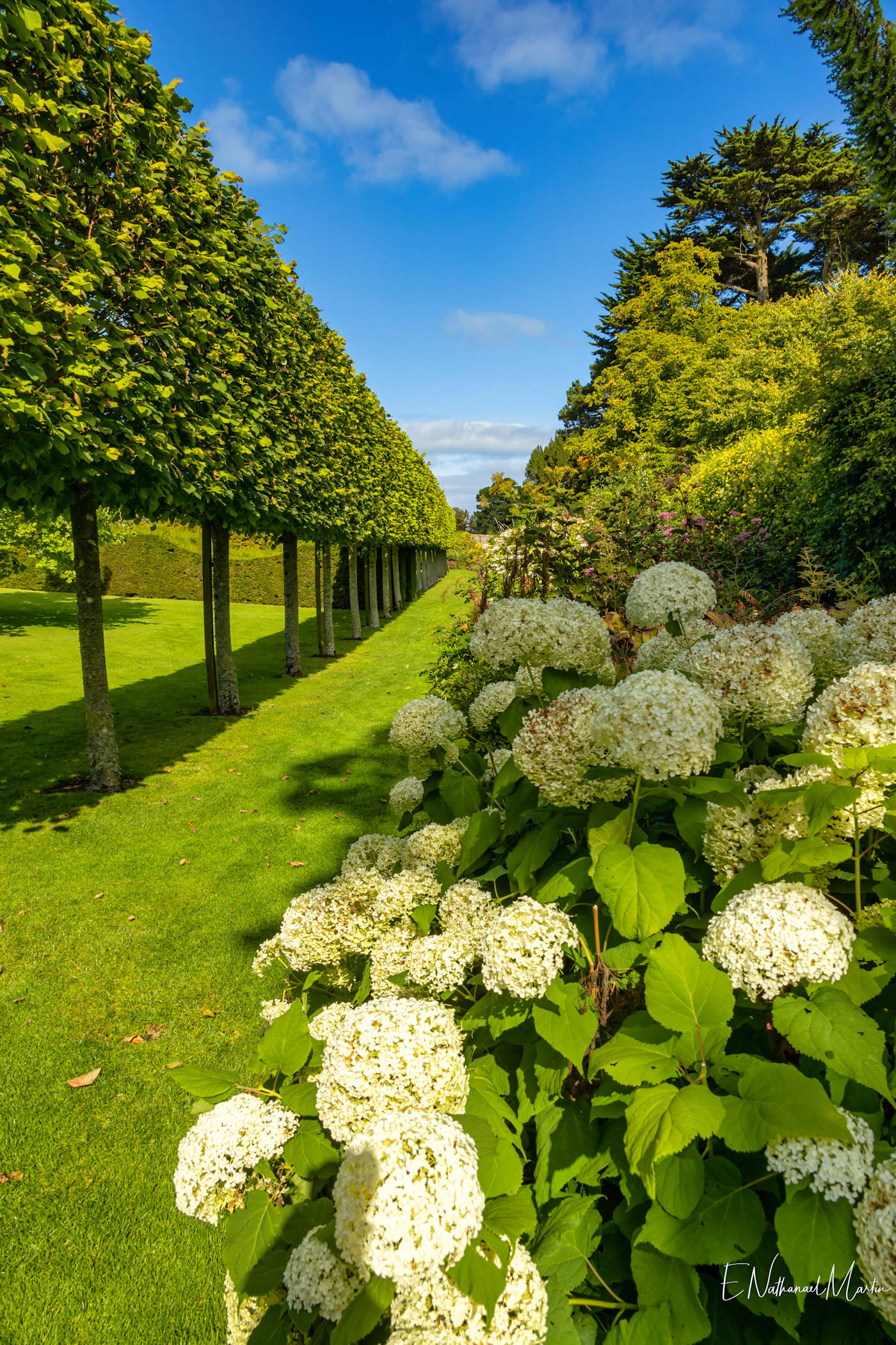 Glenarm Walled Garden