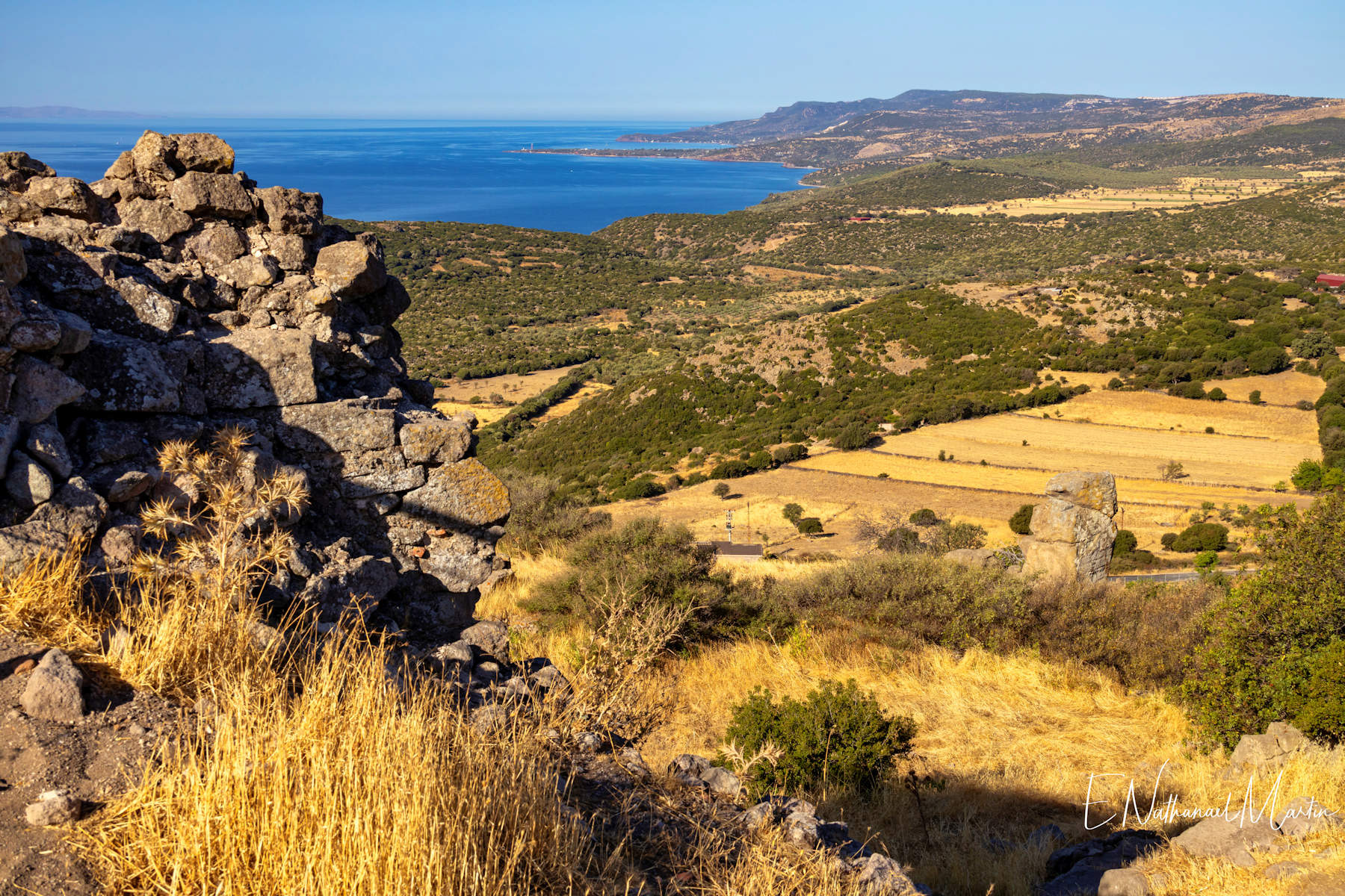 Assos