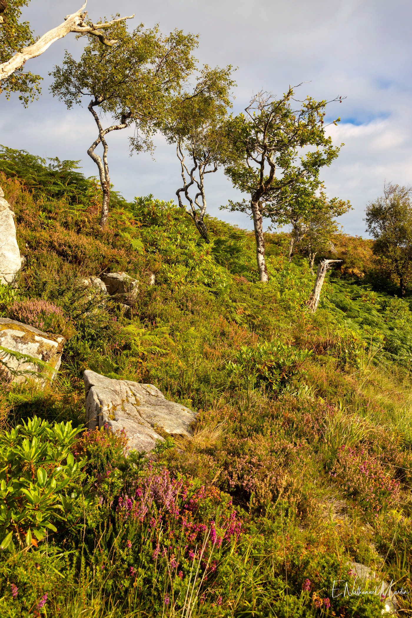 Glenveagh National Park