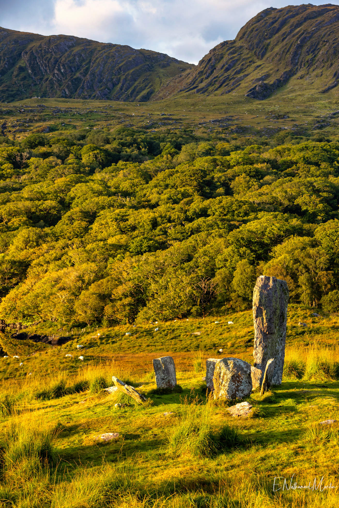 Uragh Stone Circle