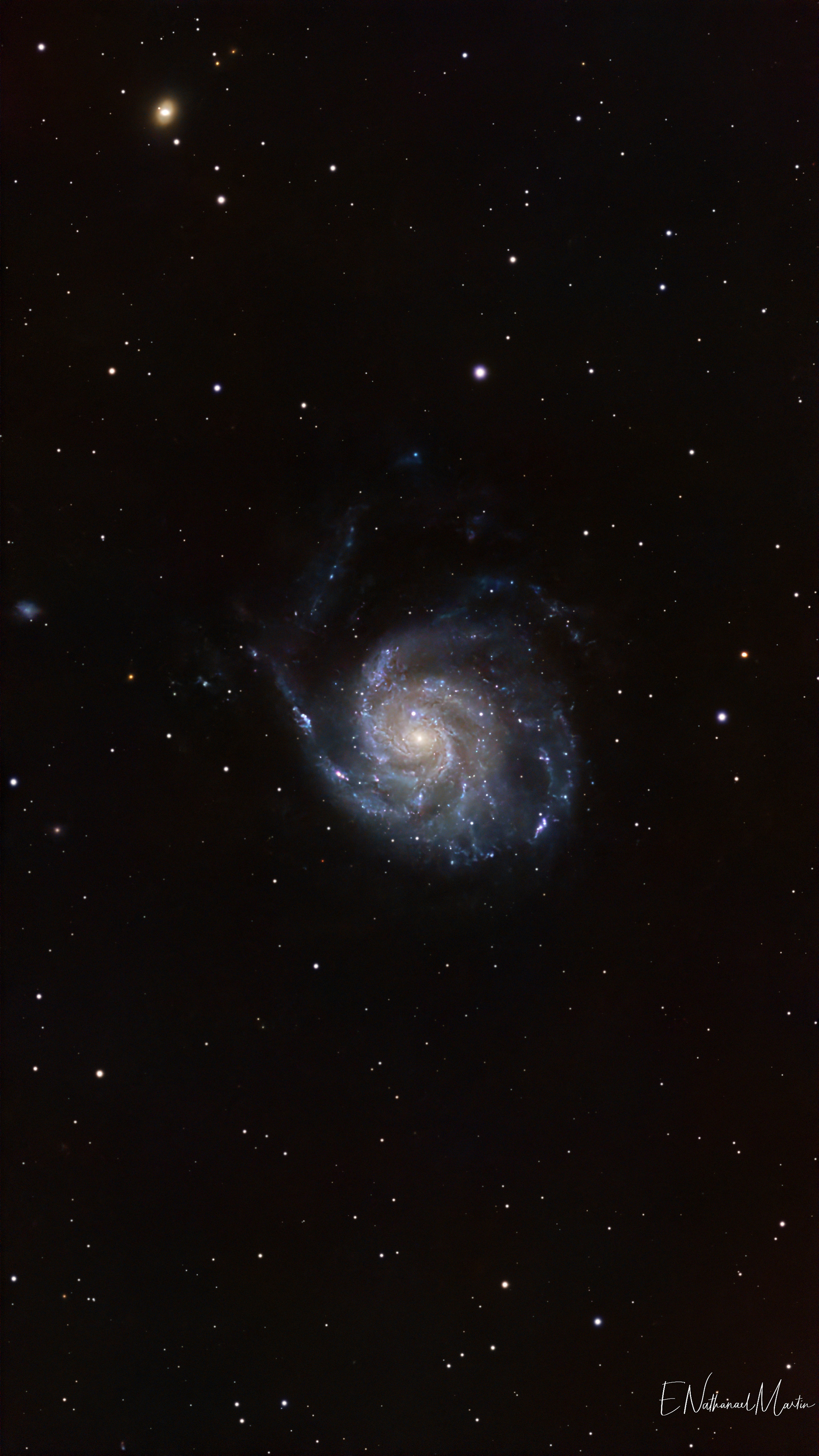 M101 Pinwheel Galaxy