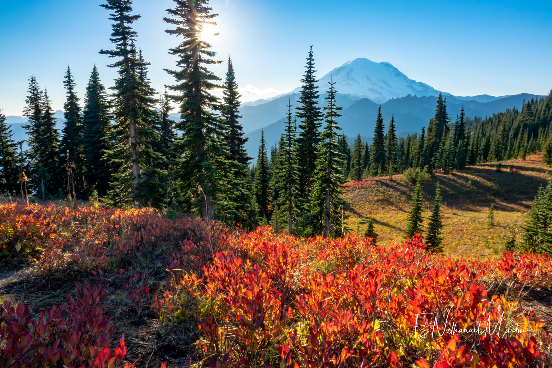 Nature by Nat Photography - Rainier Fall Colors