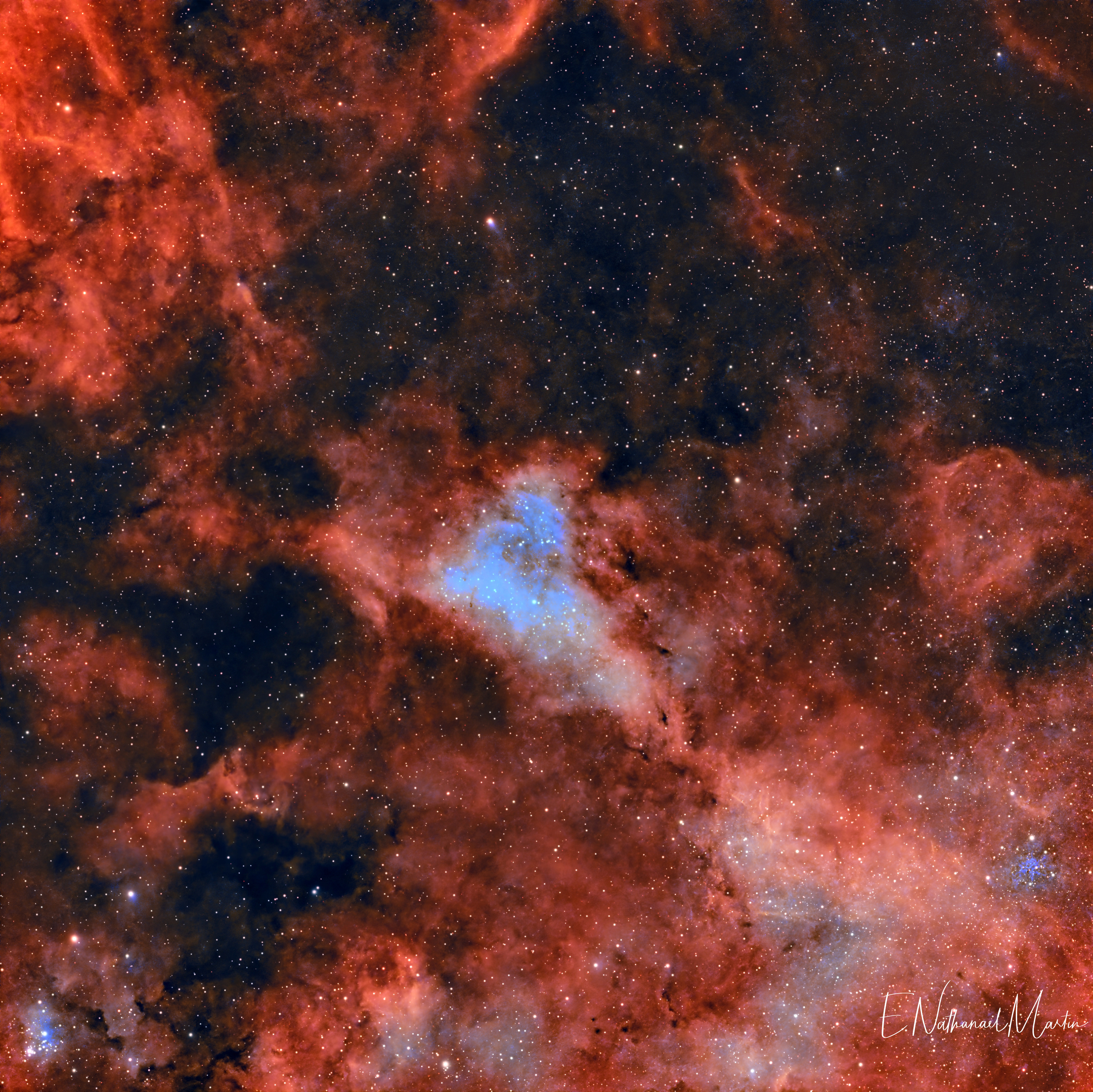 IC 1318 Gamma Cygni Nebula