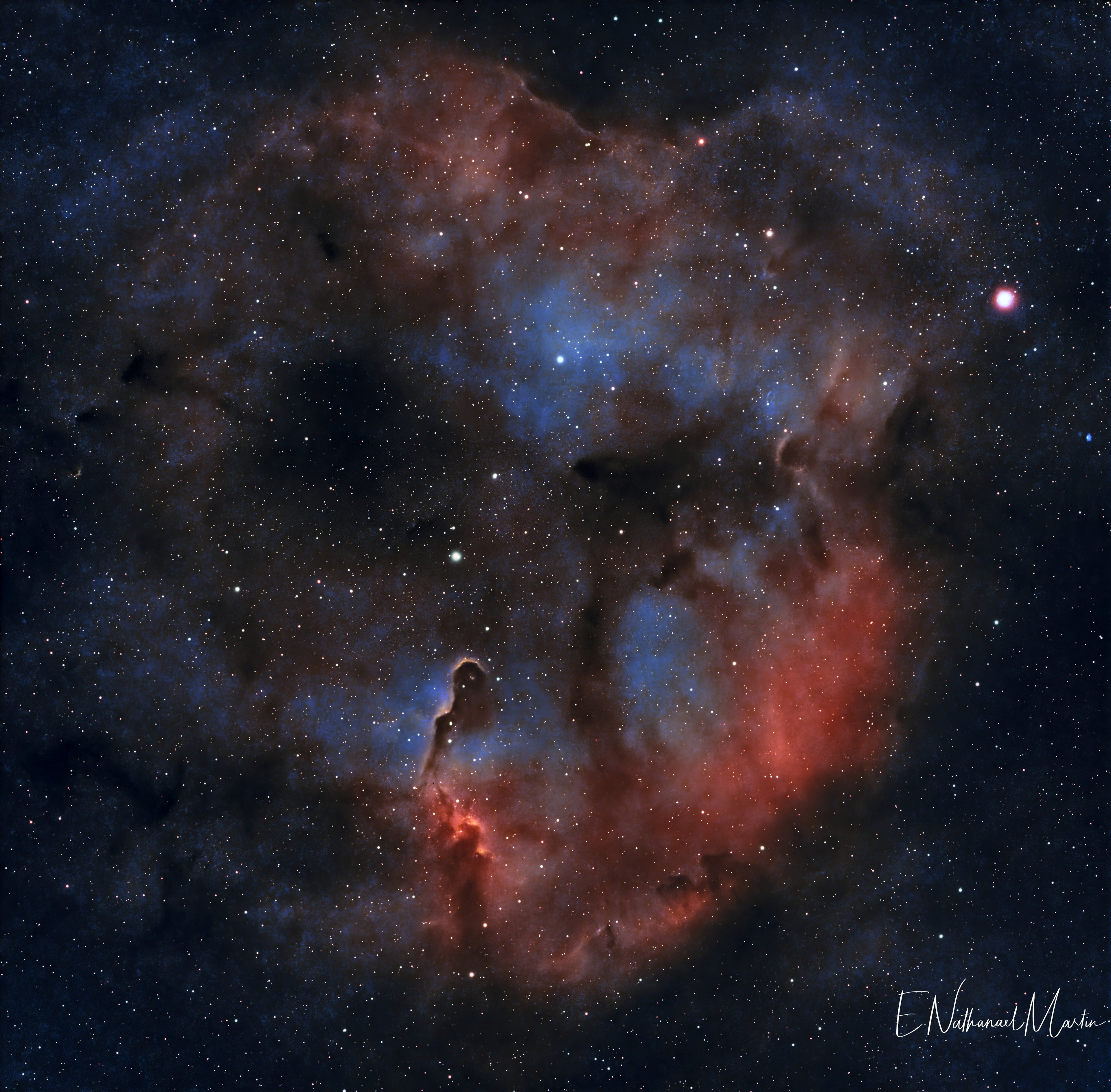 IC 1396 Elephant Trunk Nebula