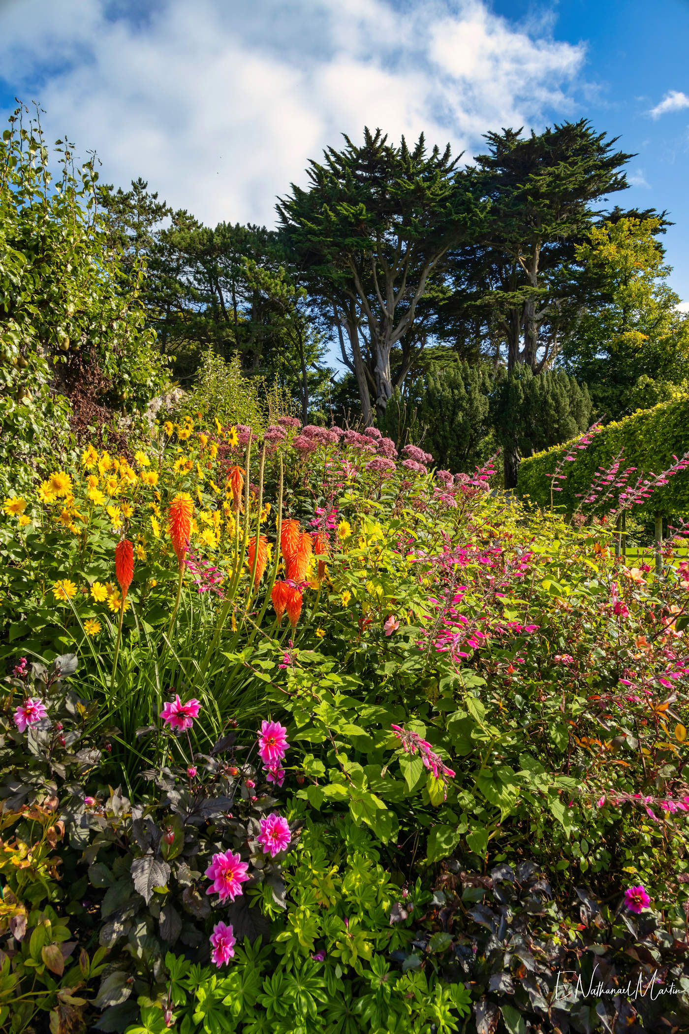 Glenarm Walled Garden
