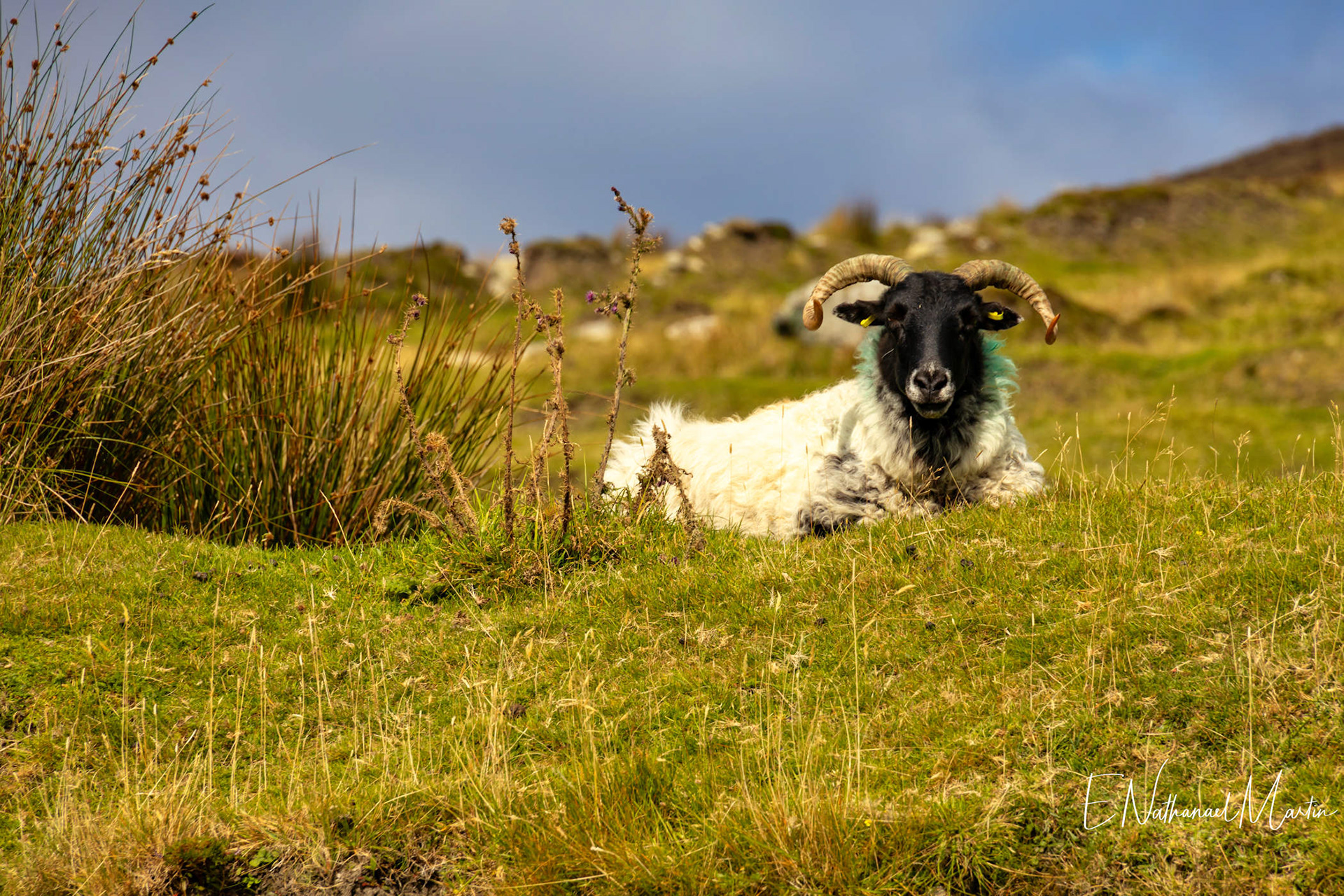 Slievemore Deserted Village